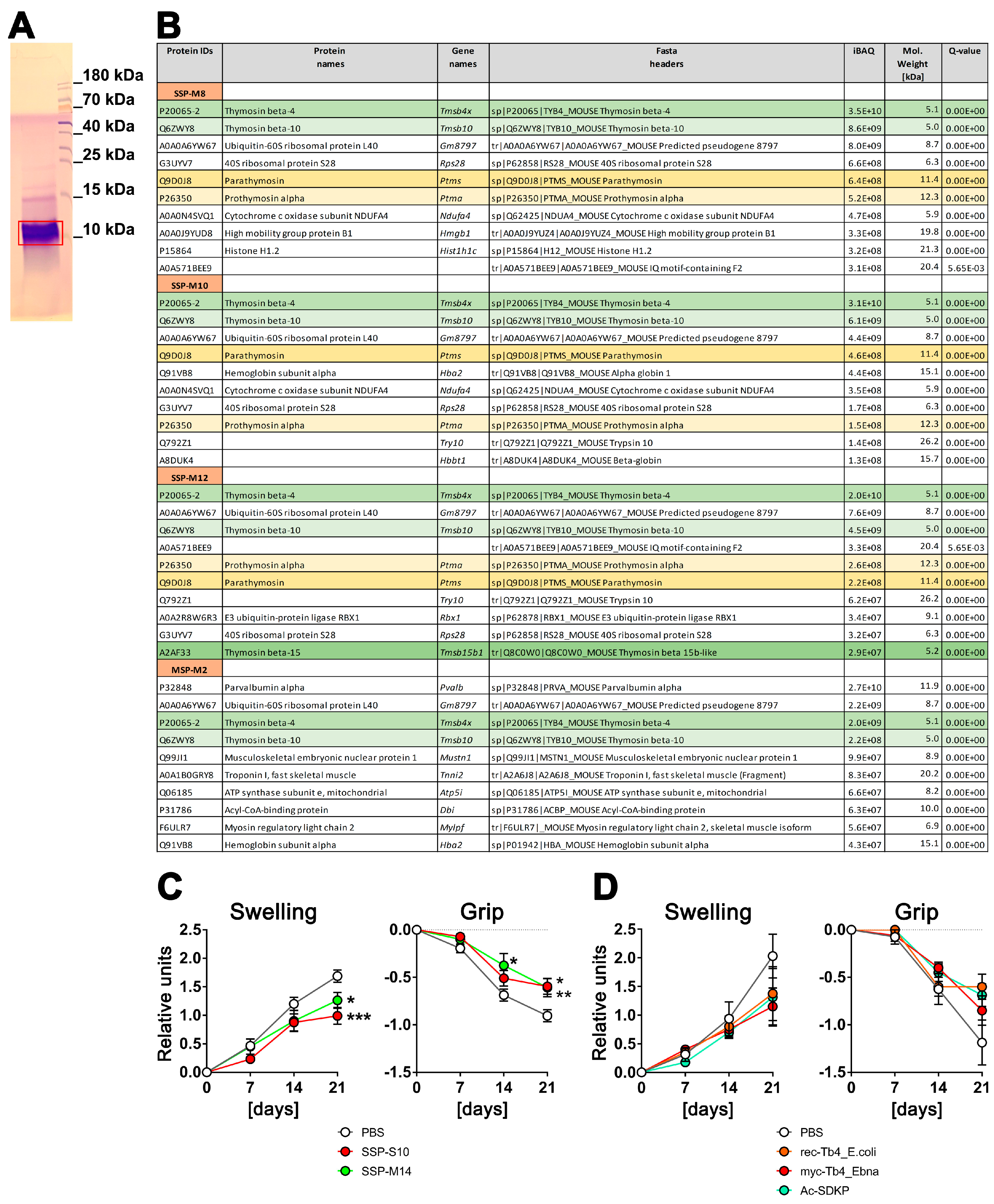 Biomolecules 14 00469 g001