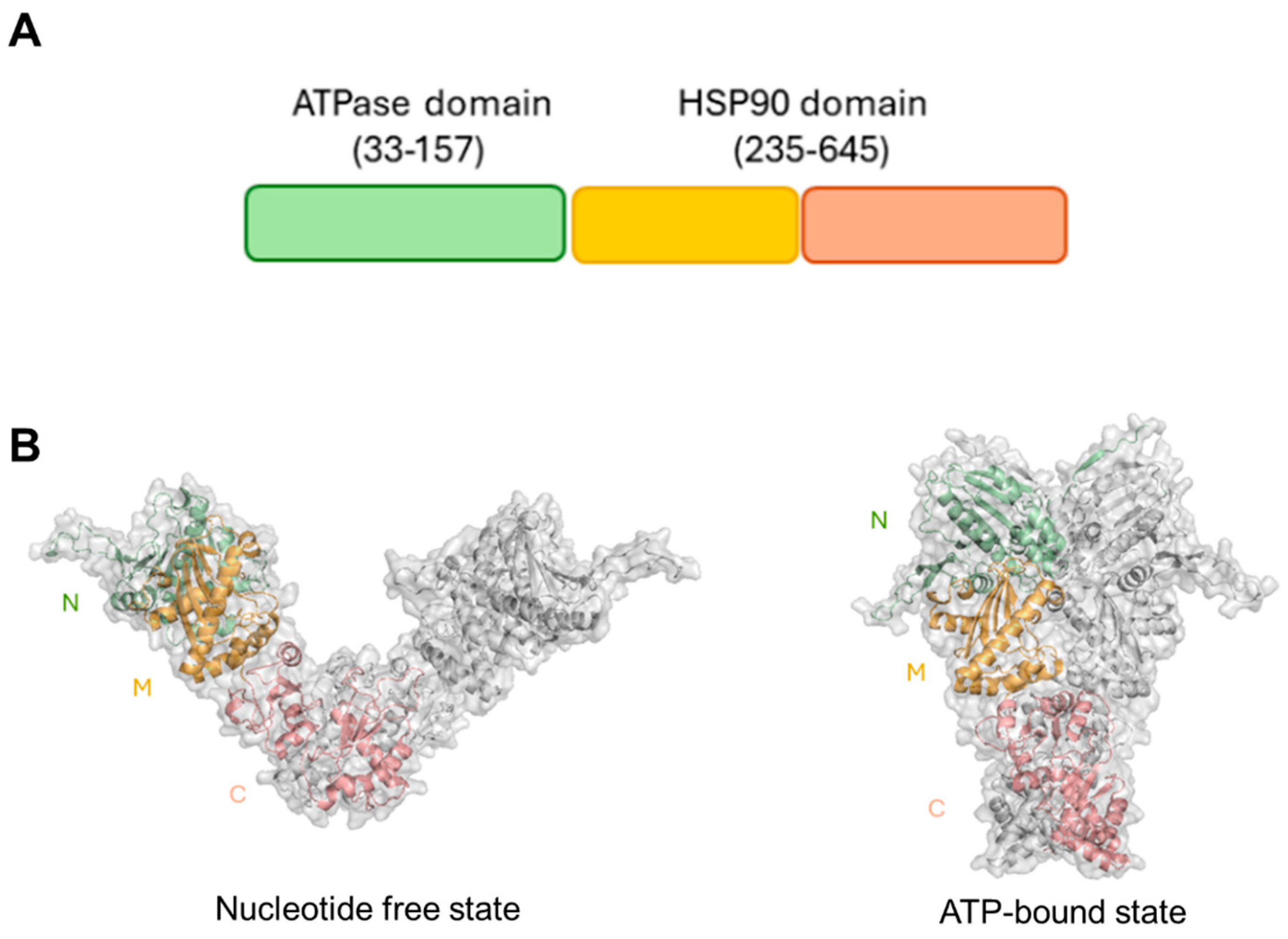 Biomolecules 14 00471 g001