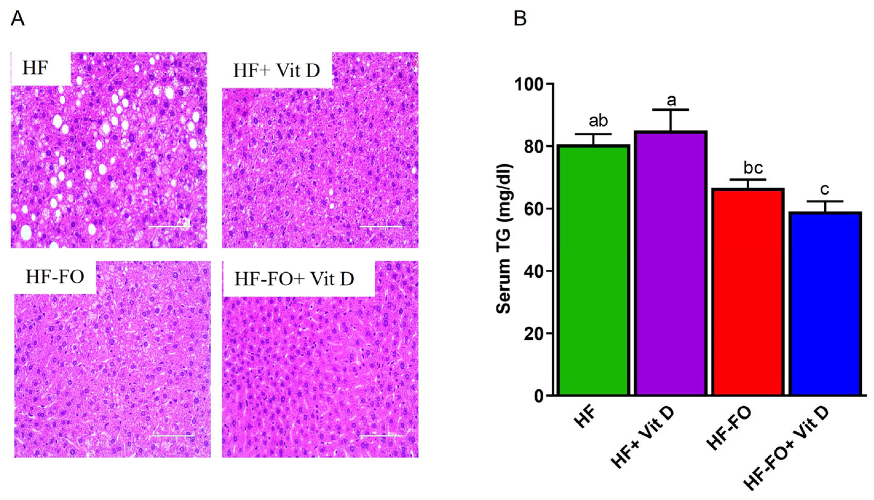 Biomolecules 14 00474 g007