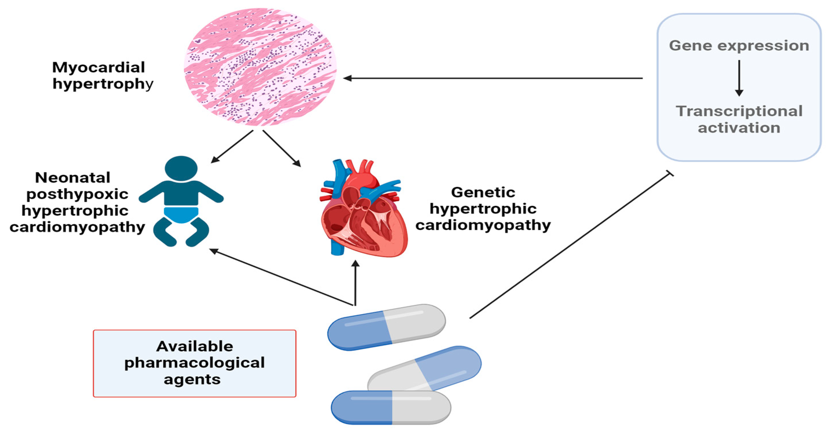 Biomolecules 14 00477 g001