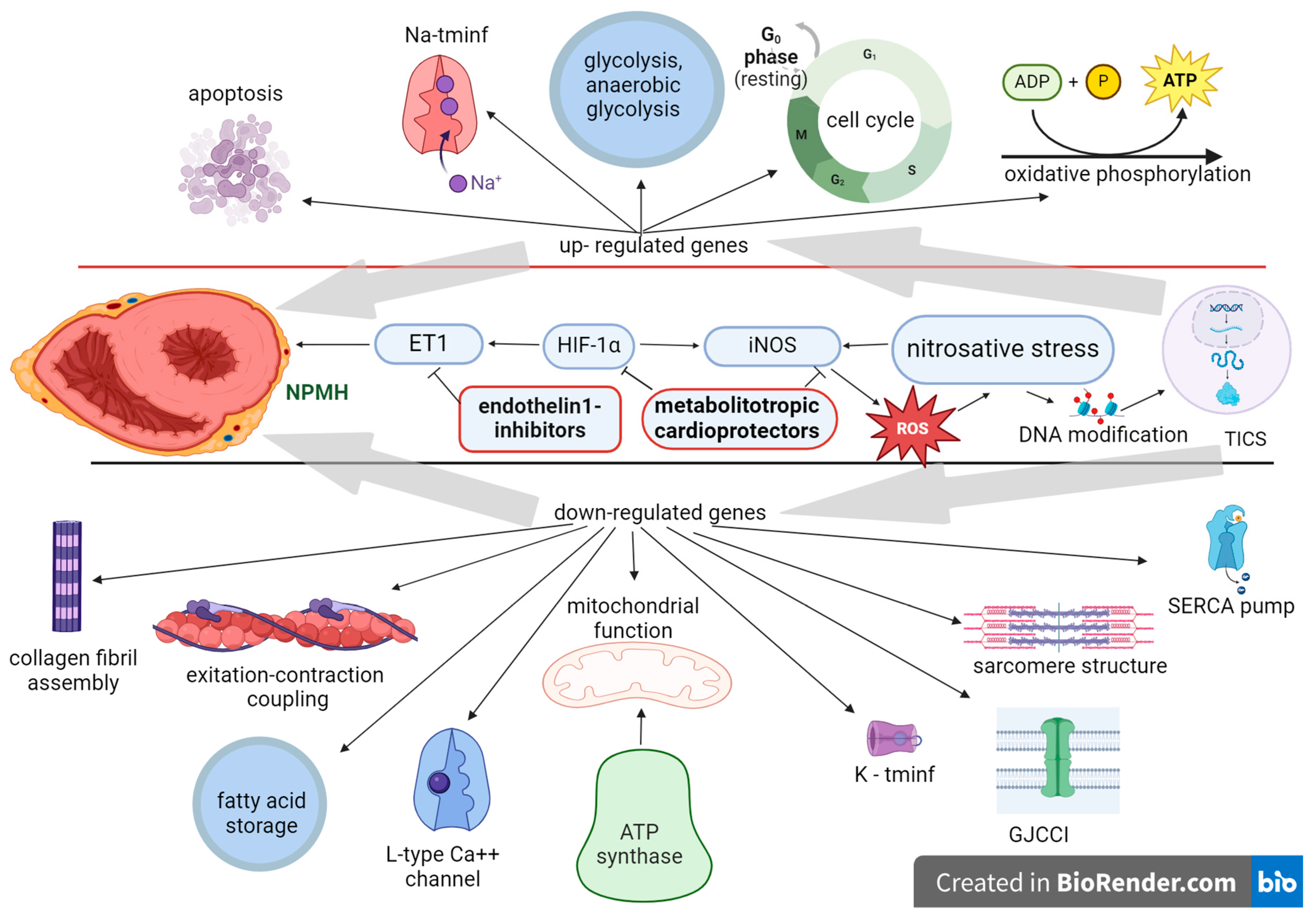 Biomolecules 14 00477 g003