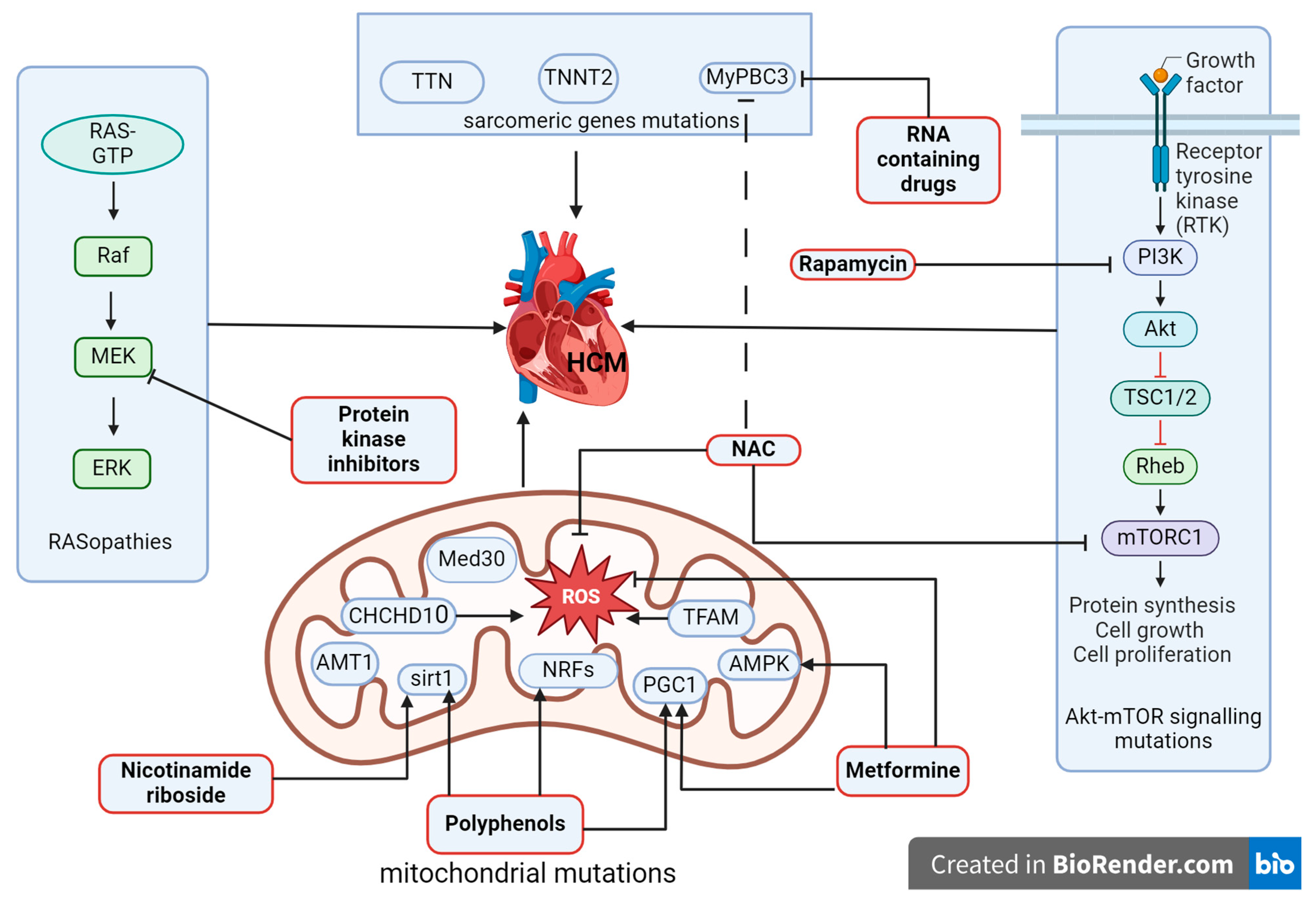 Biomolecules 14 00477 g004