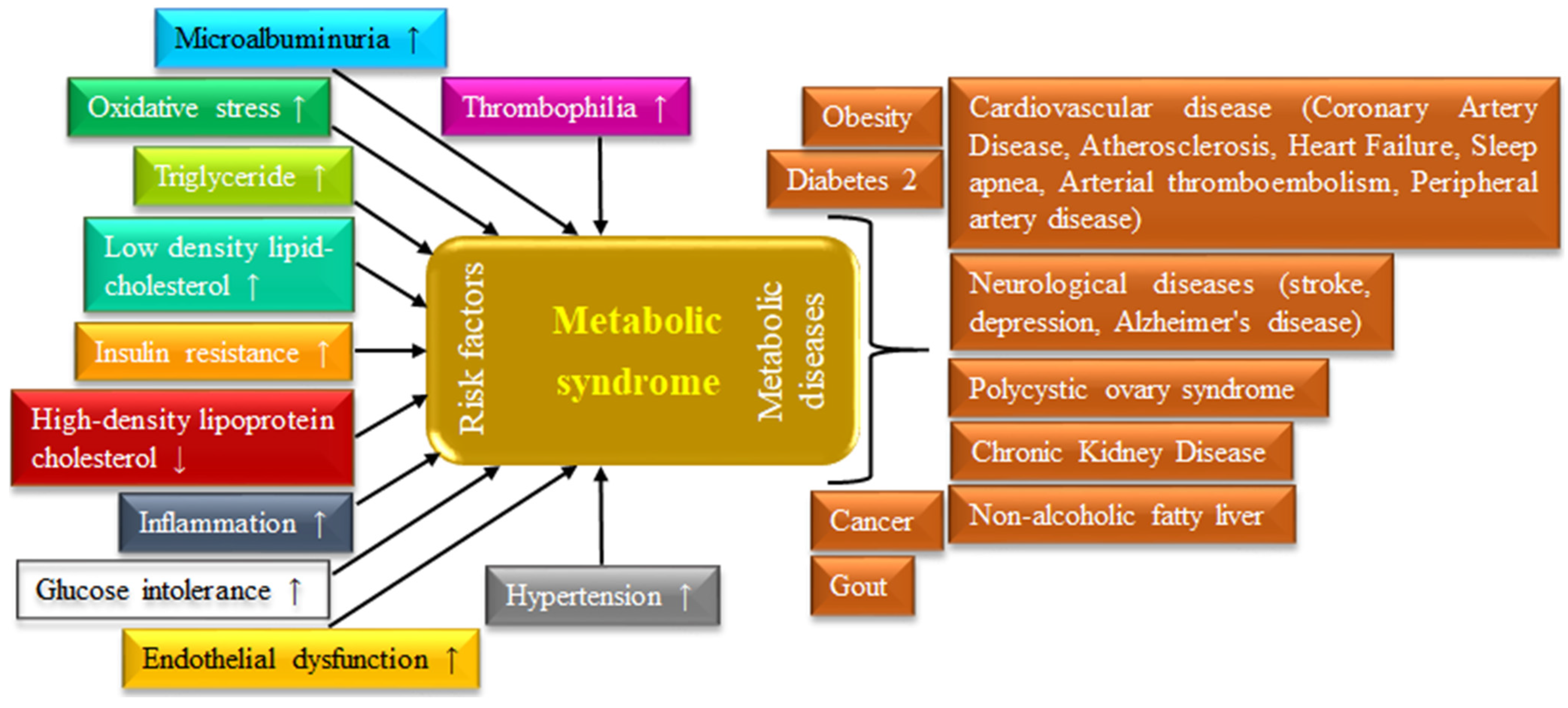 Biomolecules 14 00478 g001 Biomolecules 14 00478 g001