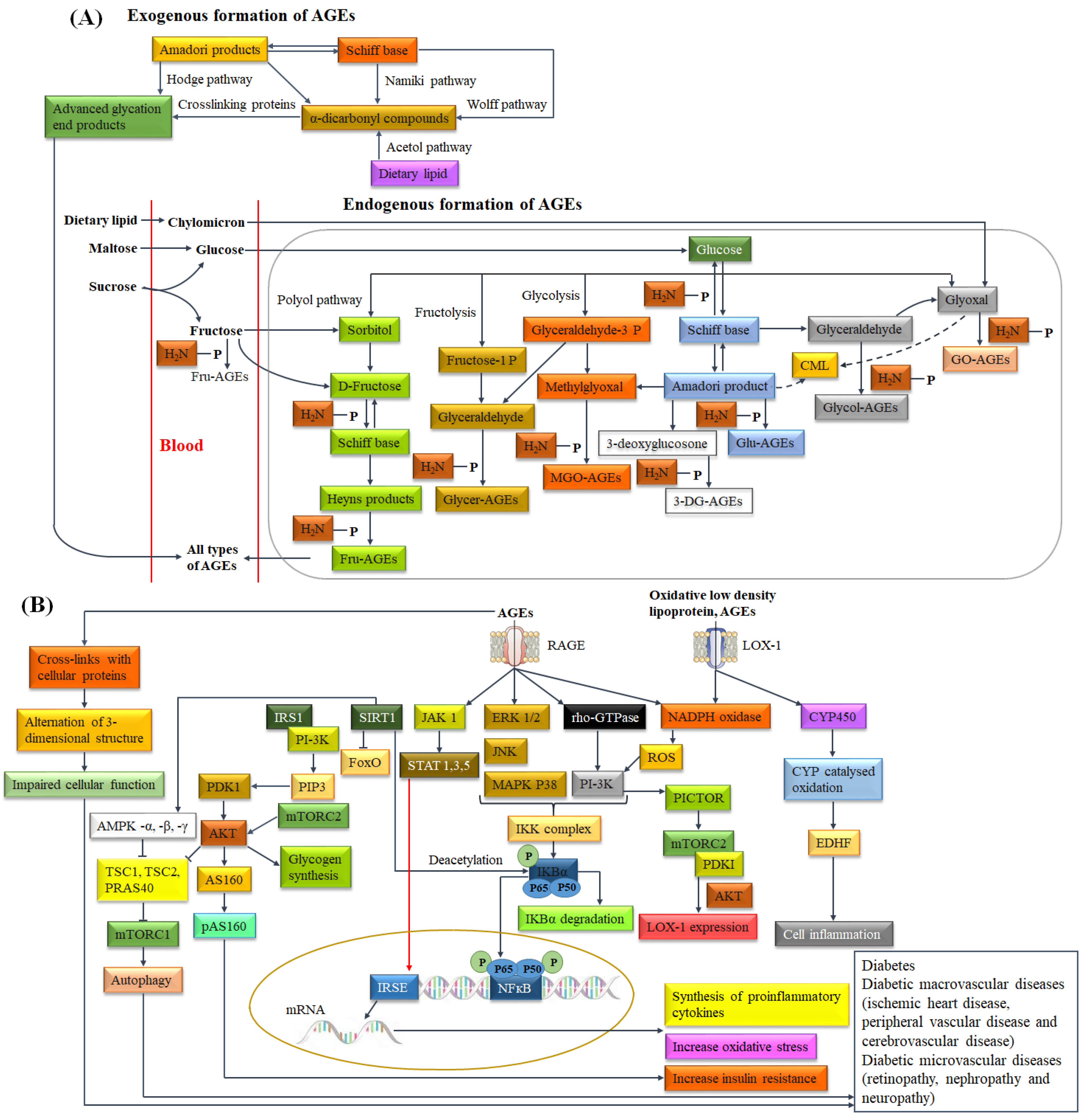 Biomolecules 14 00478 g004 Biomolecules 14 00478 g004