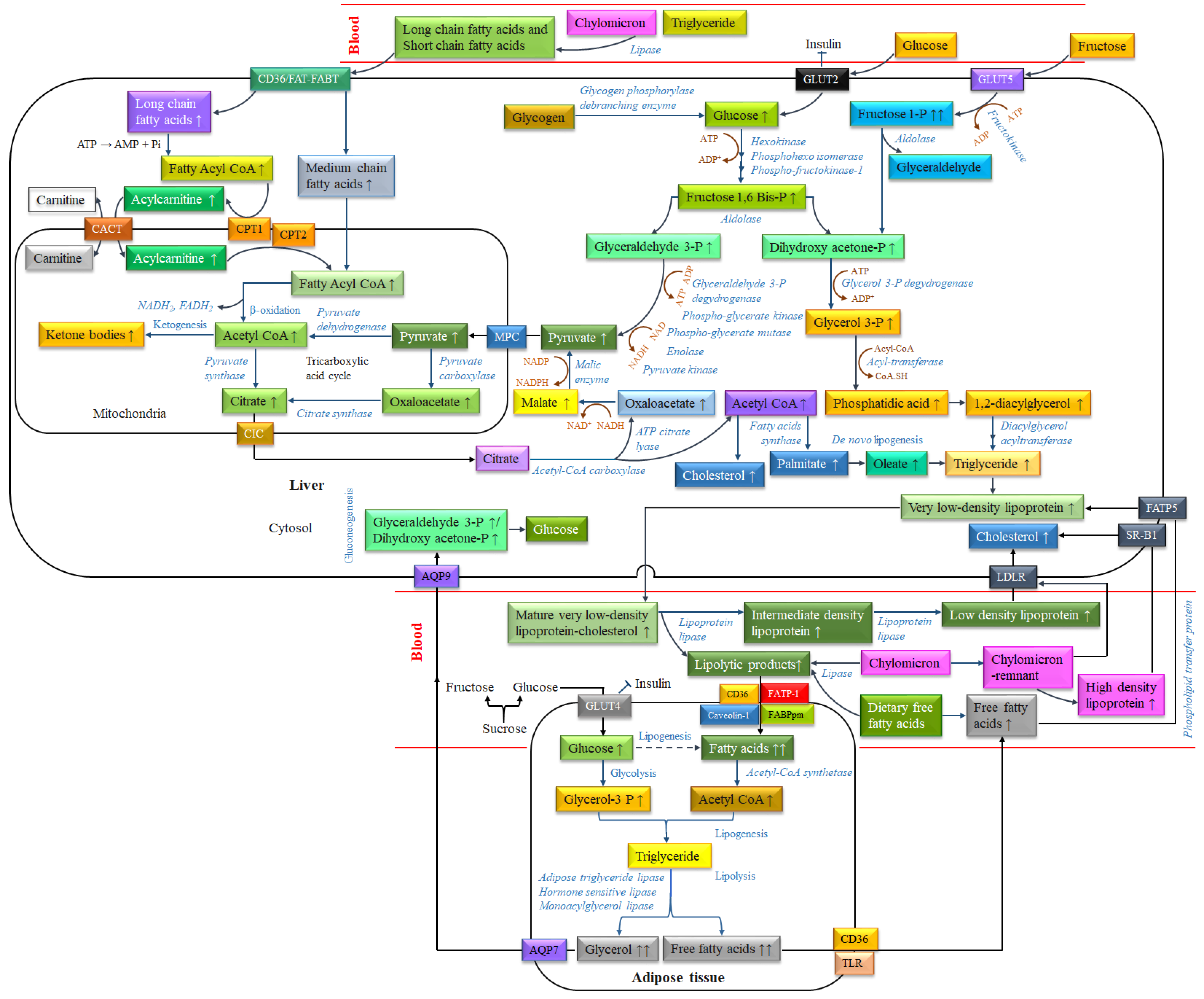 Biomolecules 14 00478 g005 Biomolecules 14 00478 g005