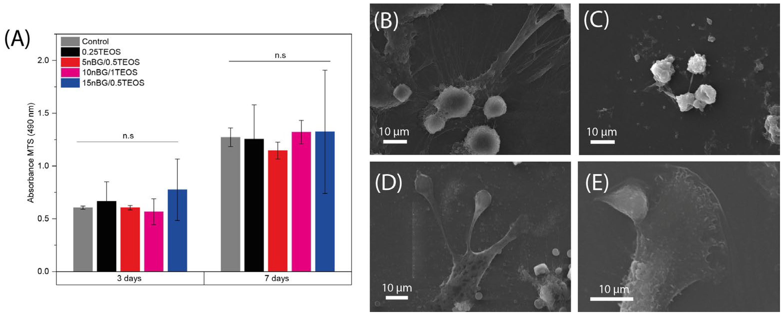 Biomolecules 14 00482 g010