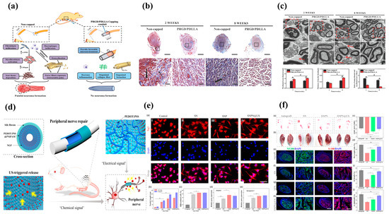 Biomolecules 14 00484 g004