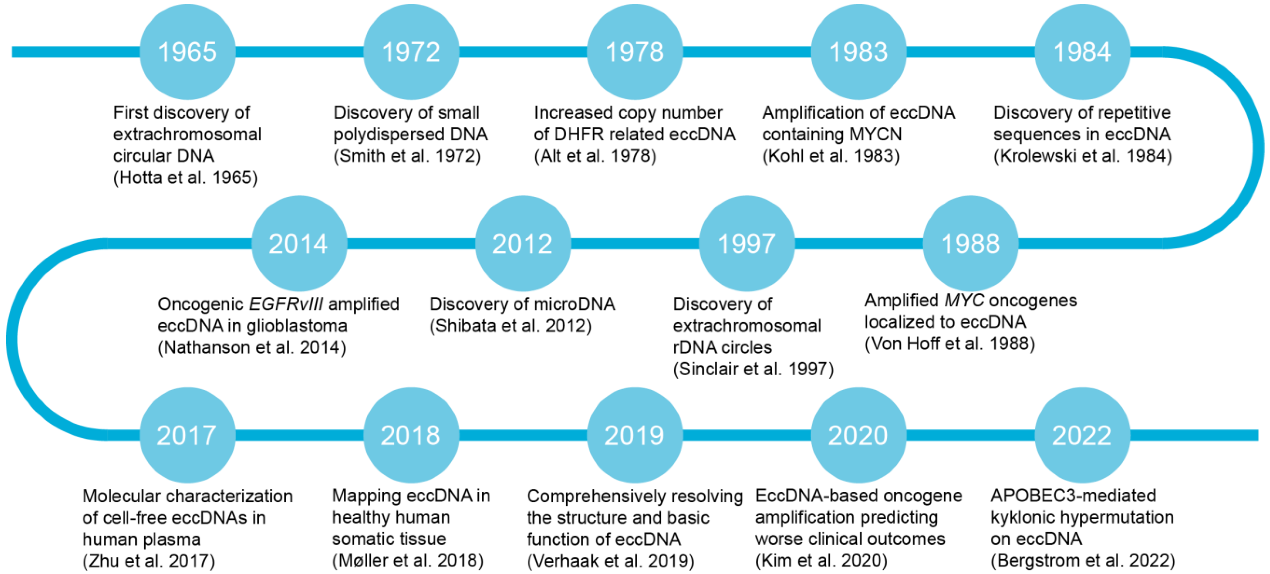 Biomolecules 14 00488 g001