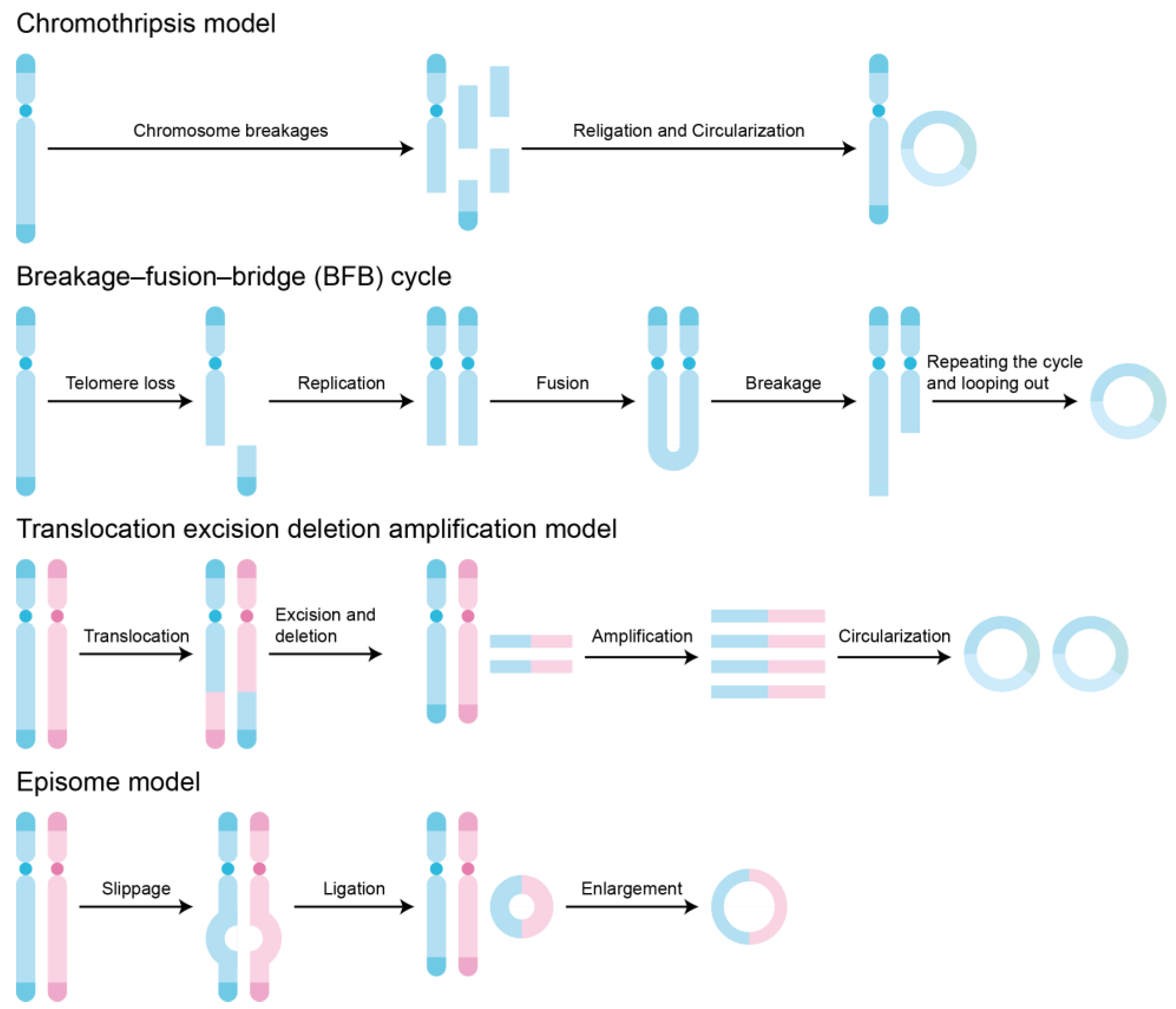 Biomolecules 14 00488 g002