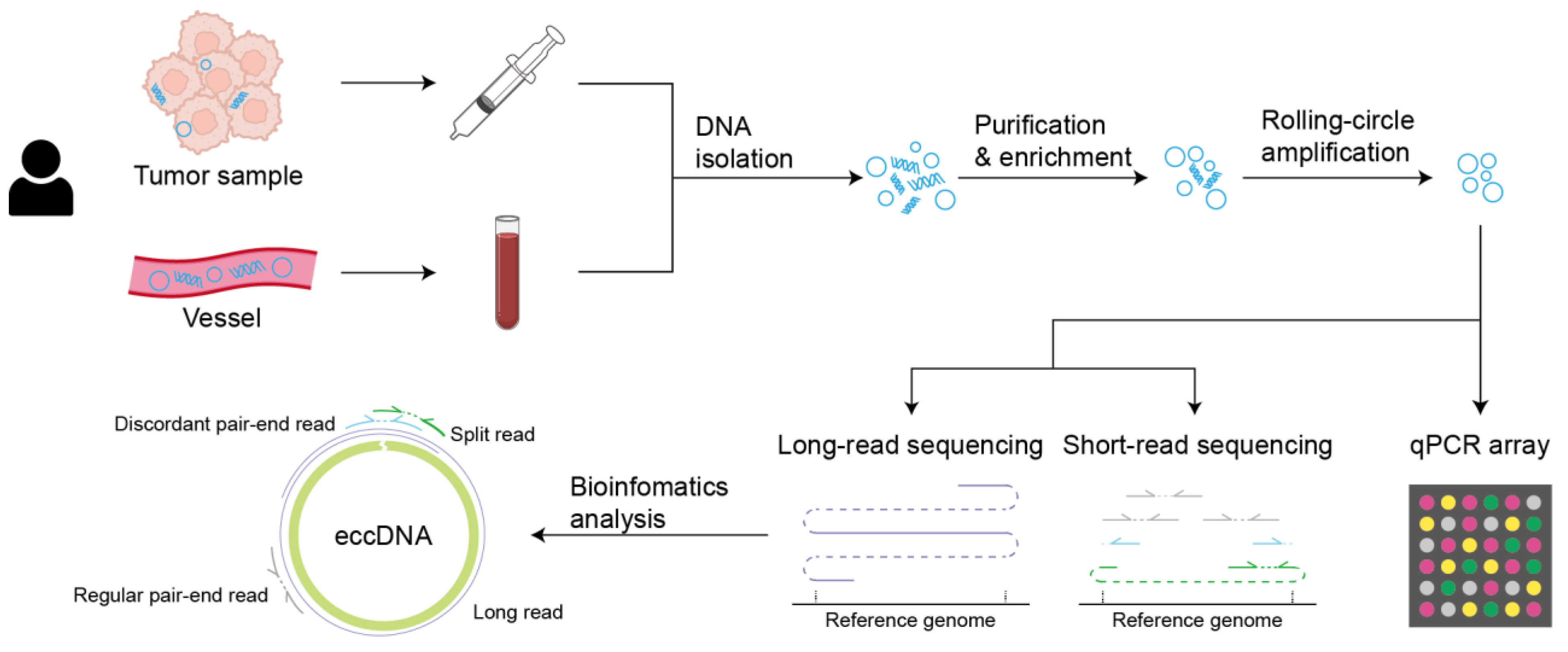 Biomolecules 14 00488 g004