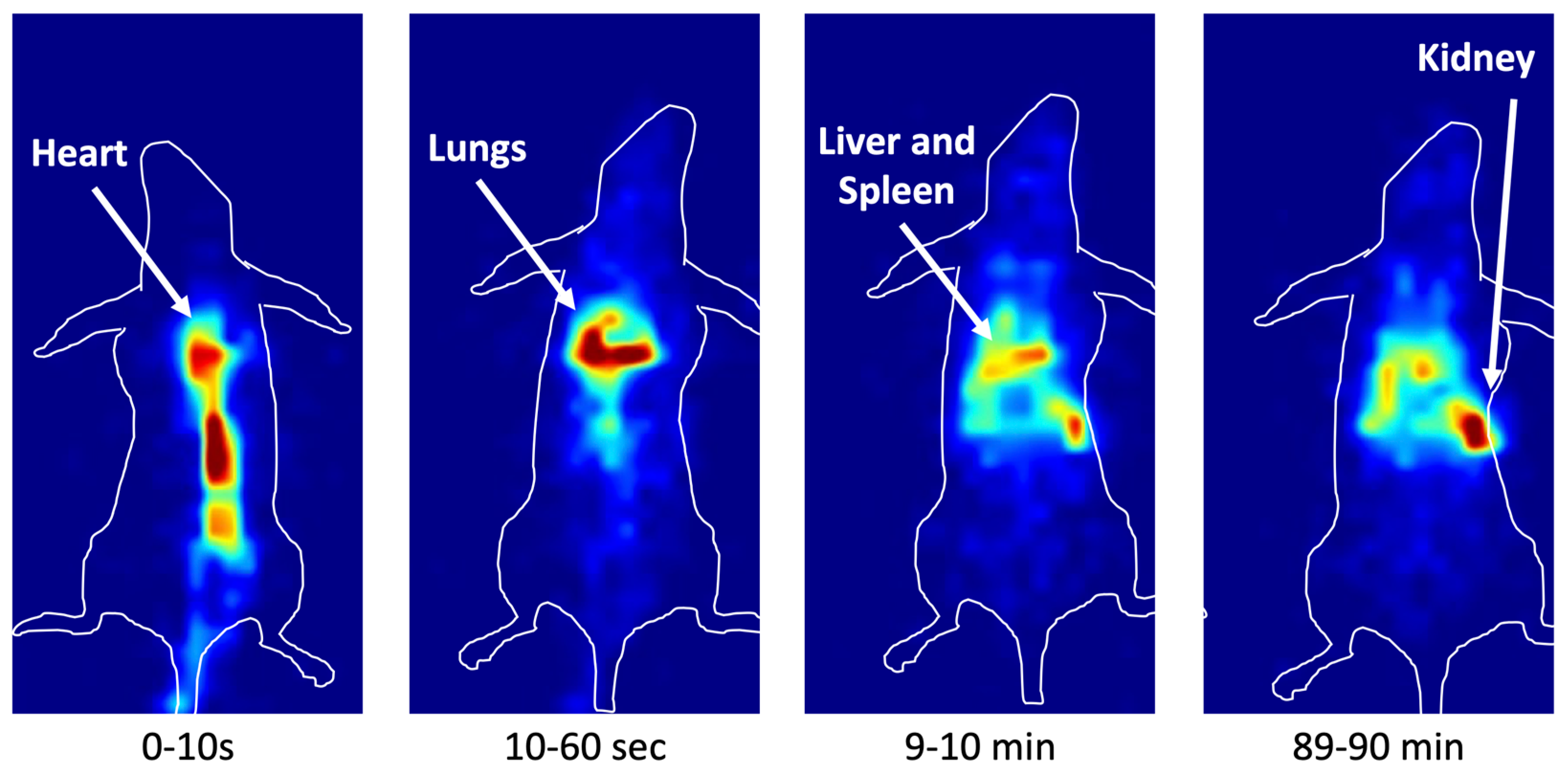 Biomolecules 14 00491 g008