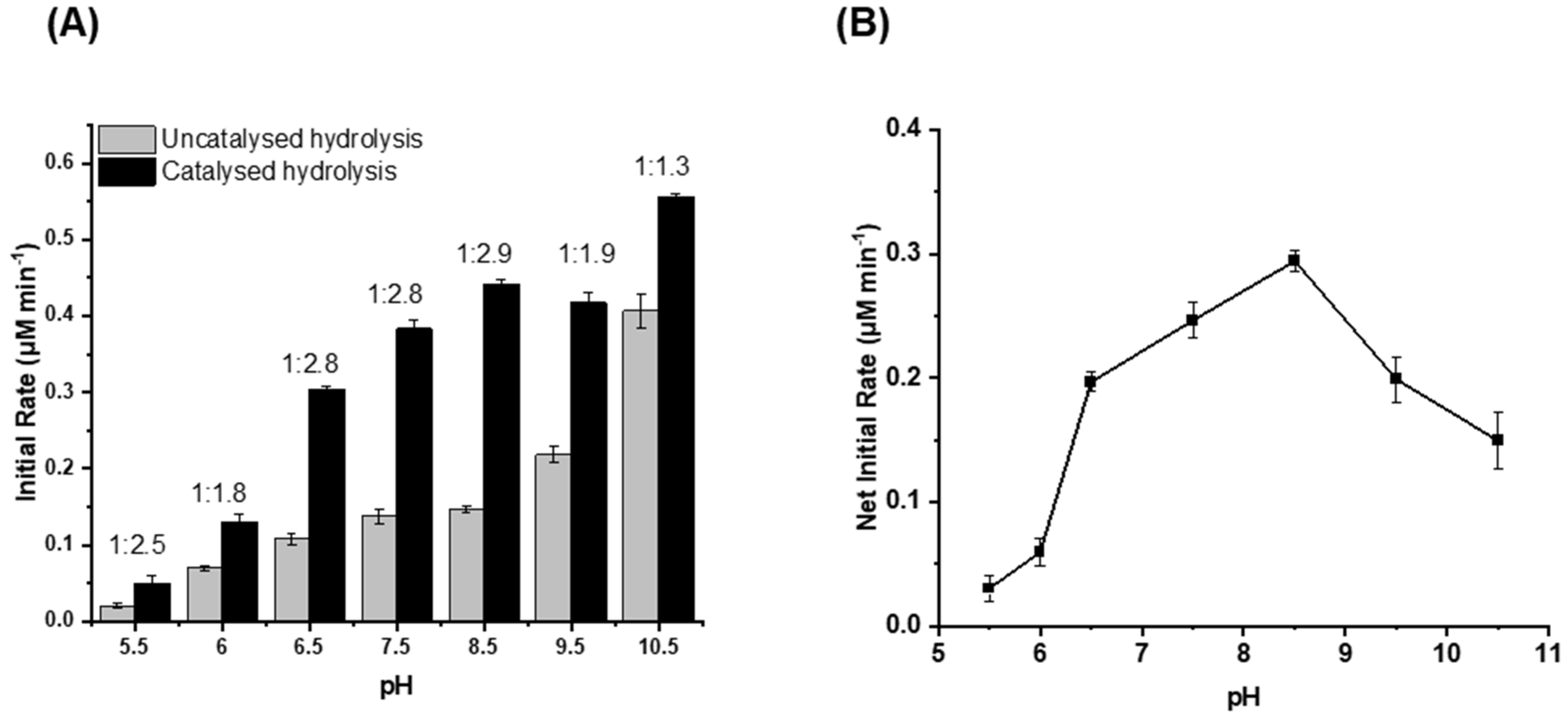 Biomolecules 14 00492 g001