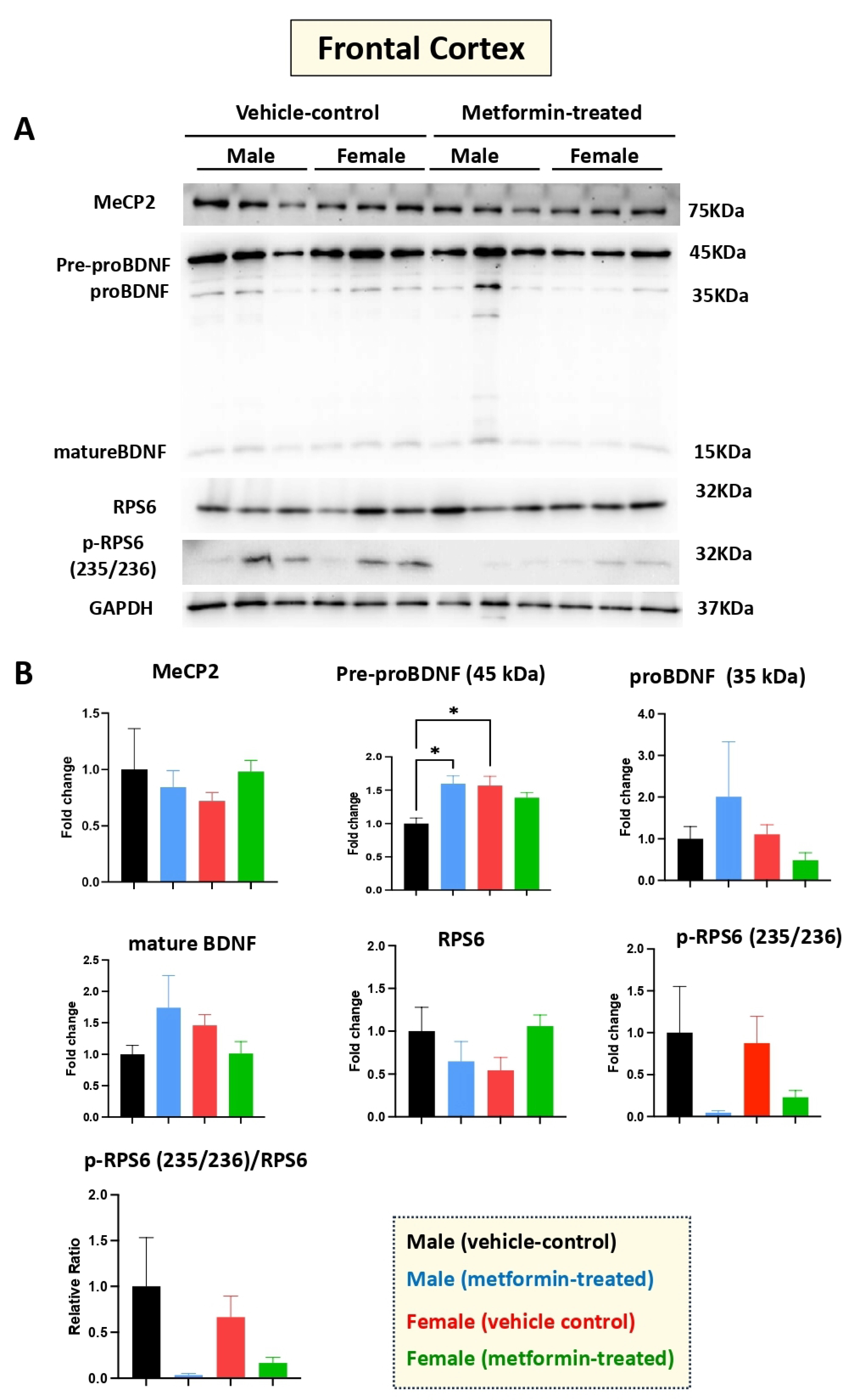 Biomolecules 14 00505 g006