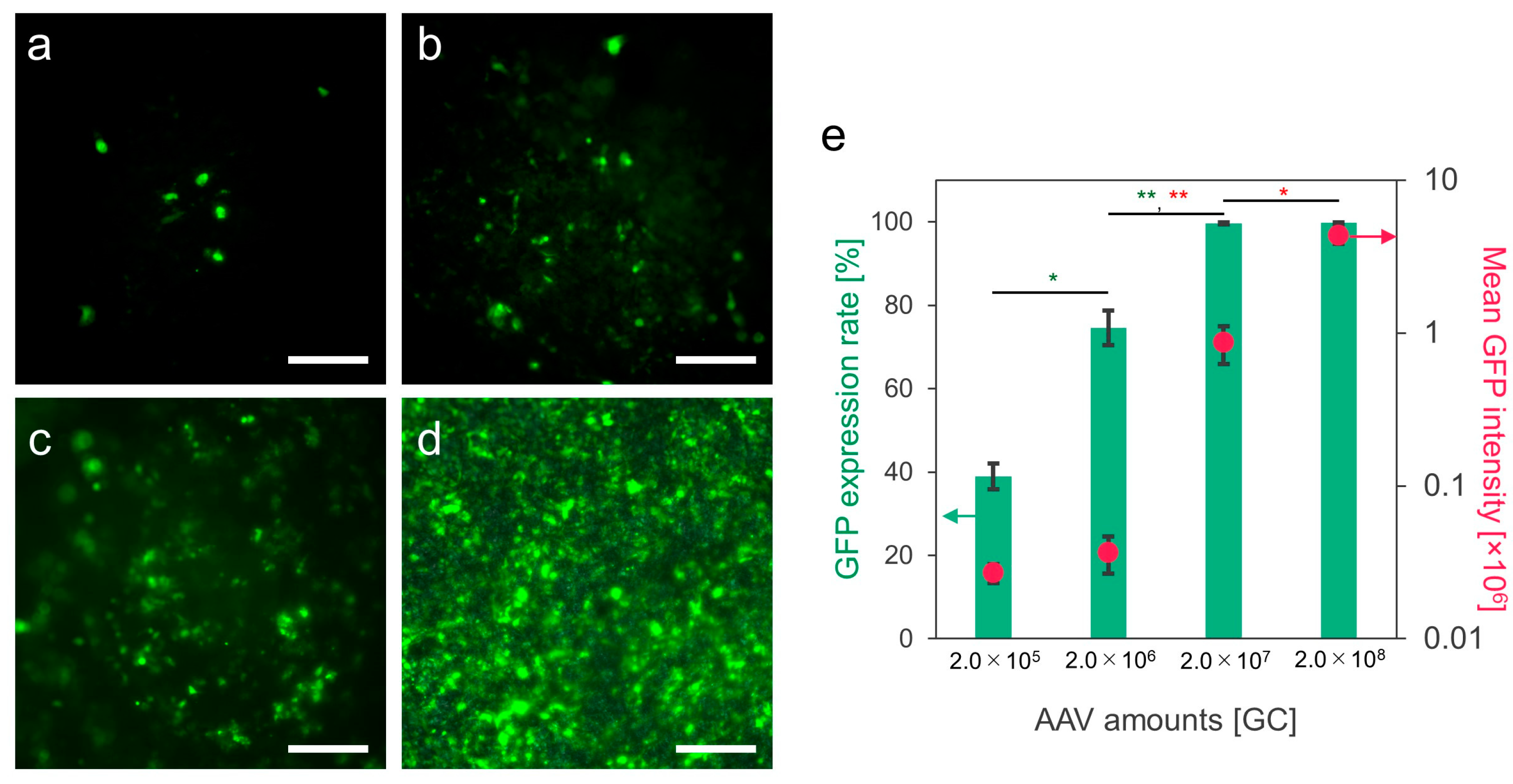 Biomolecules 14 00506 g004