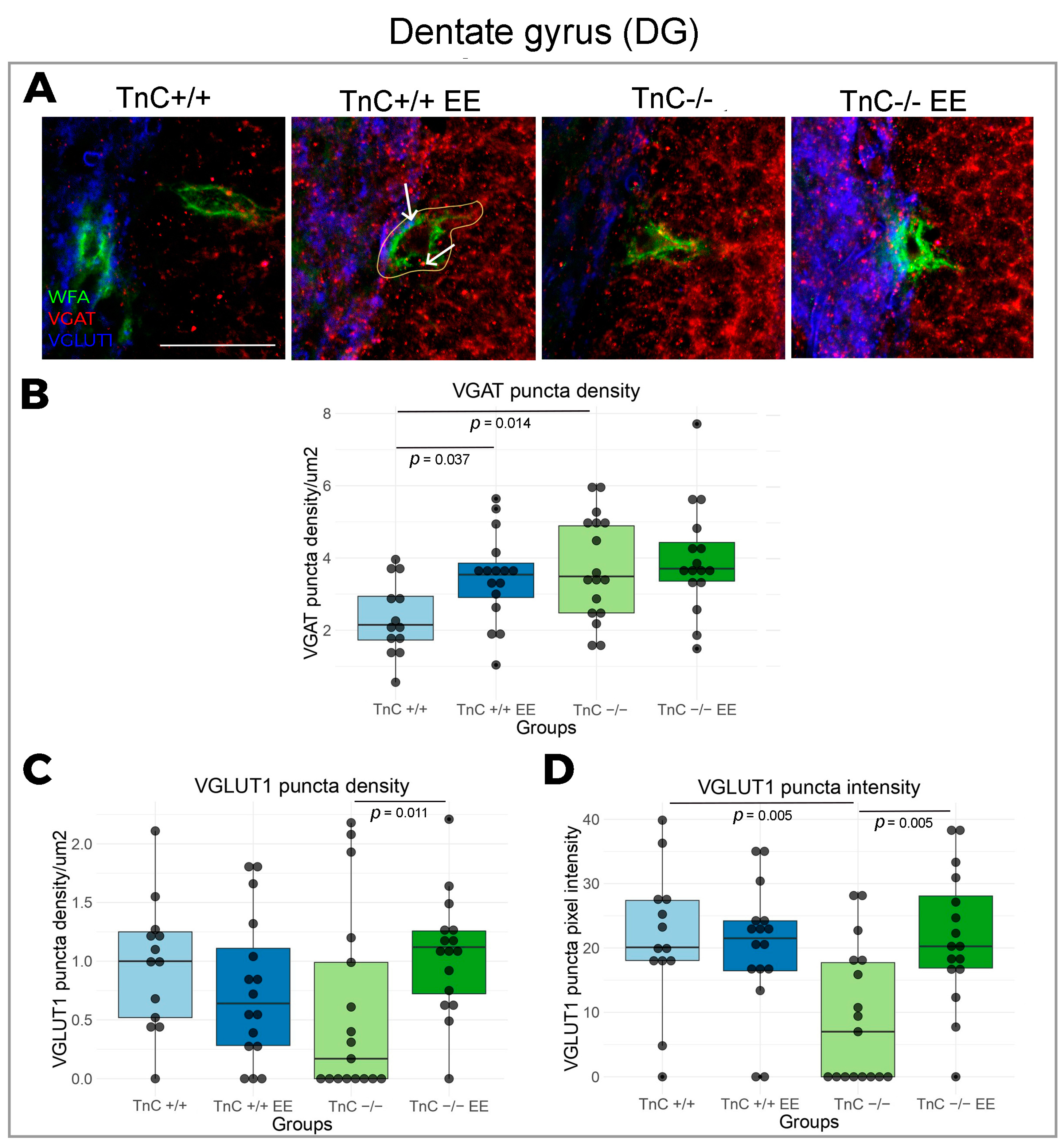 Biomolecules 14 00508 g002