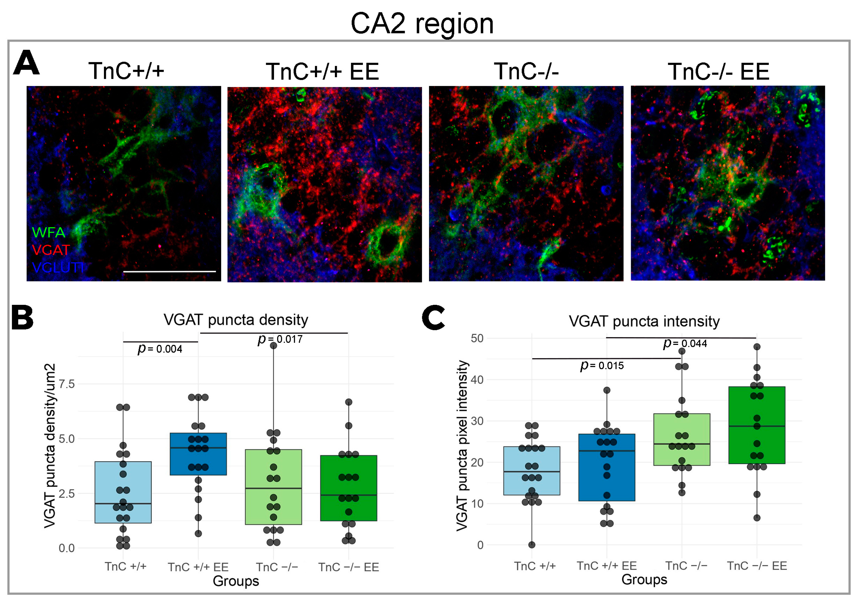Biomolecules 14 00508 g005