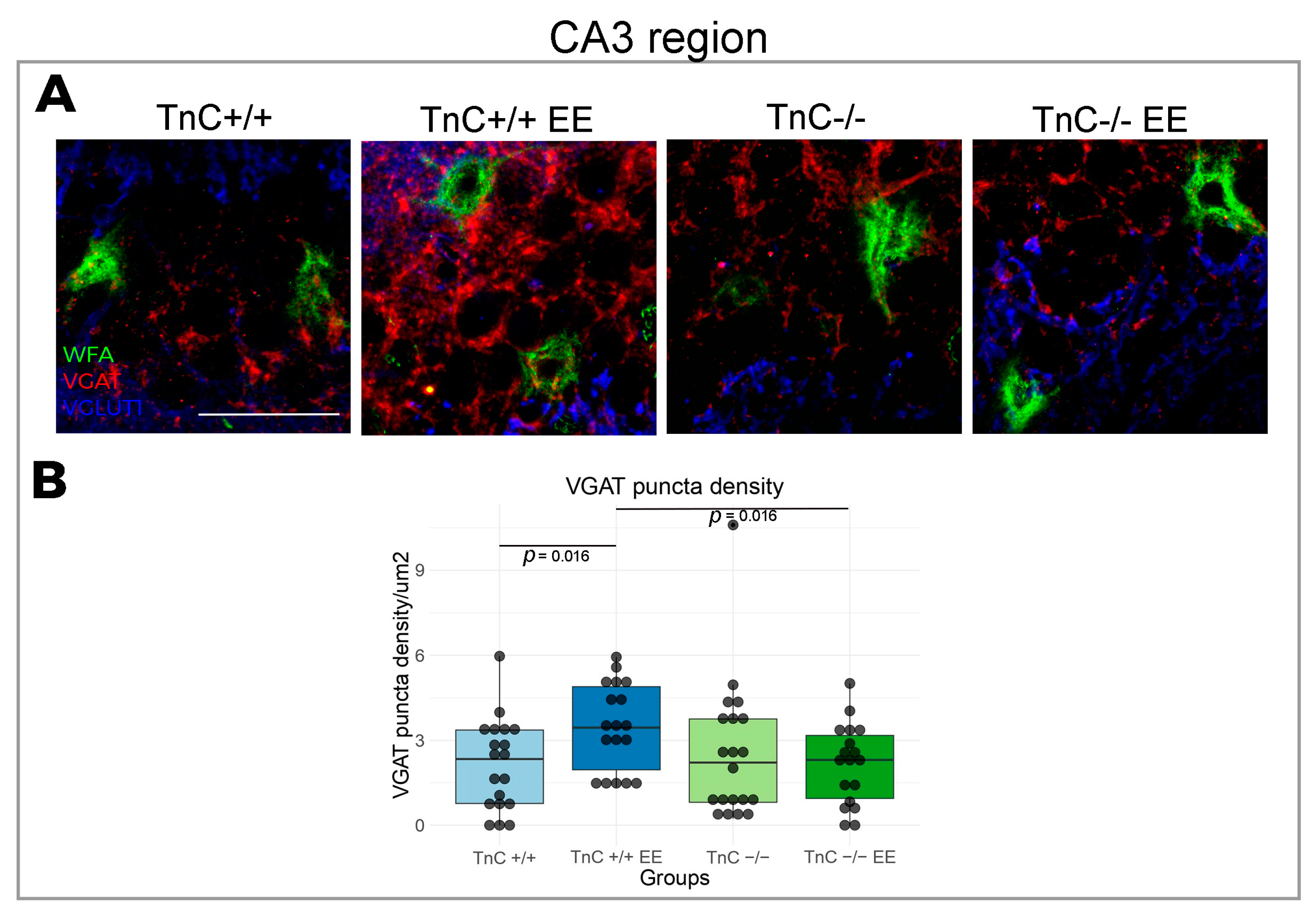 Biomolecules 14 00508 g006