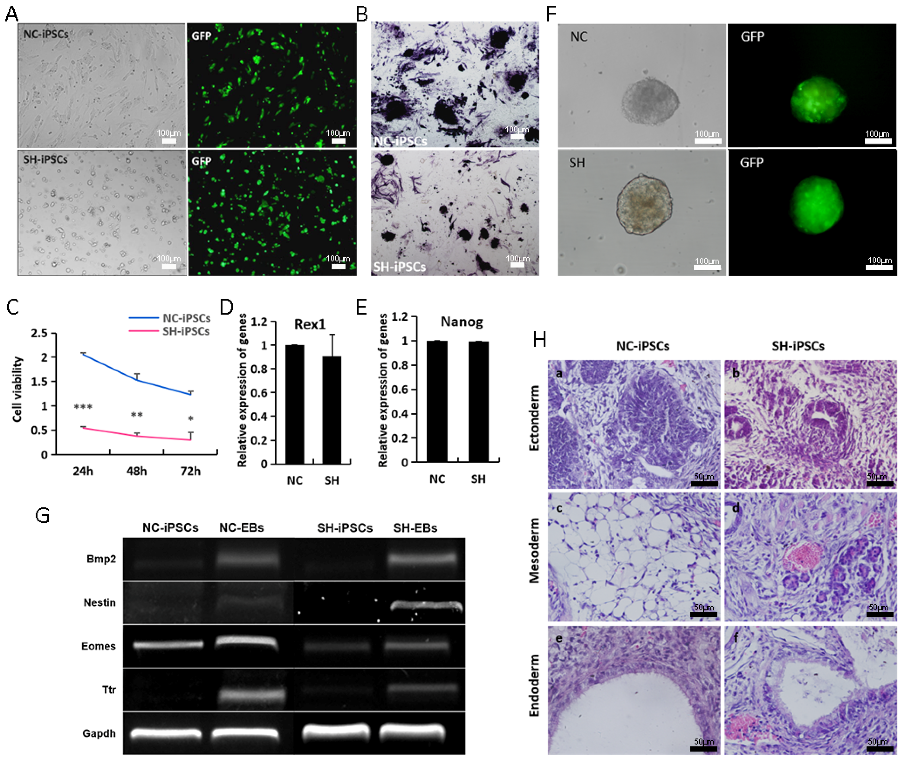 Biomolecules 14 00509 g004