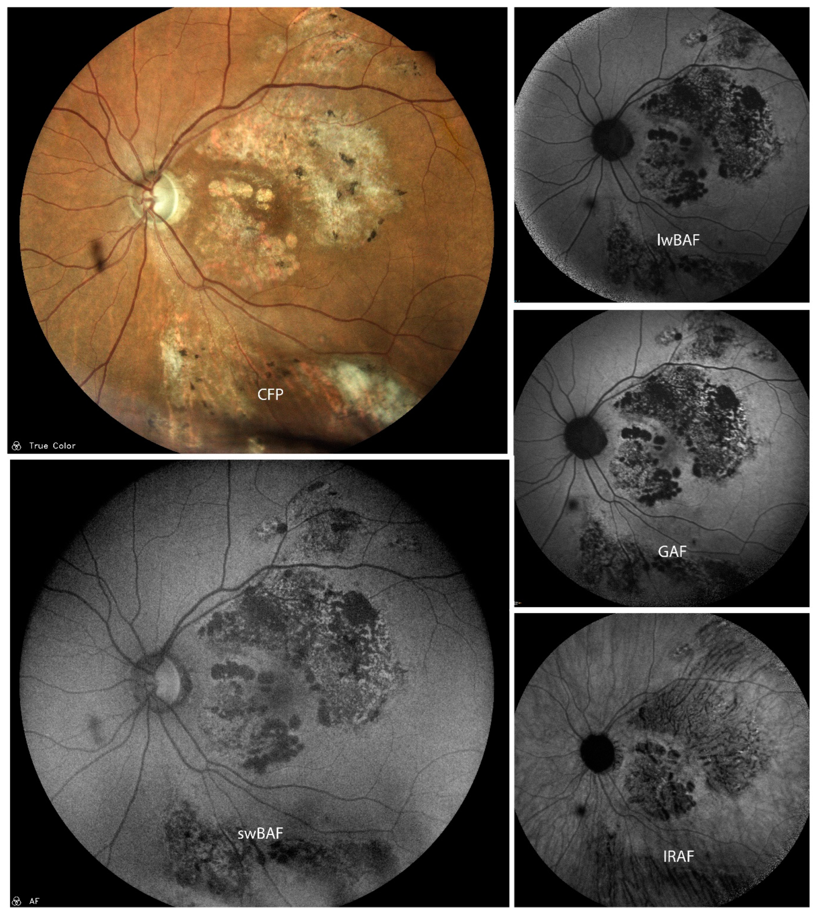 Biomolecules 14 00515 g007