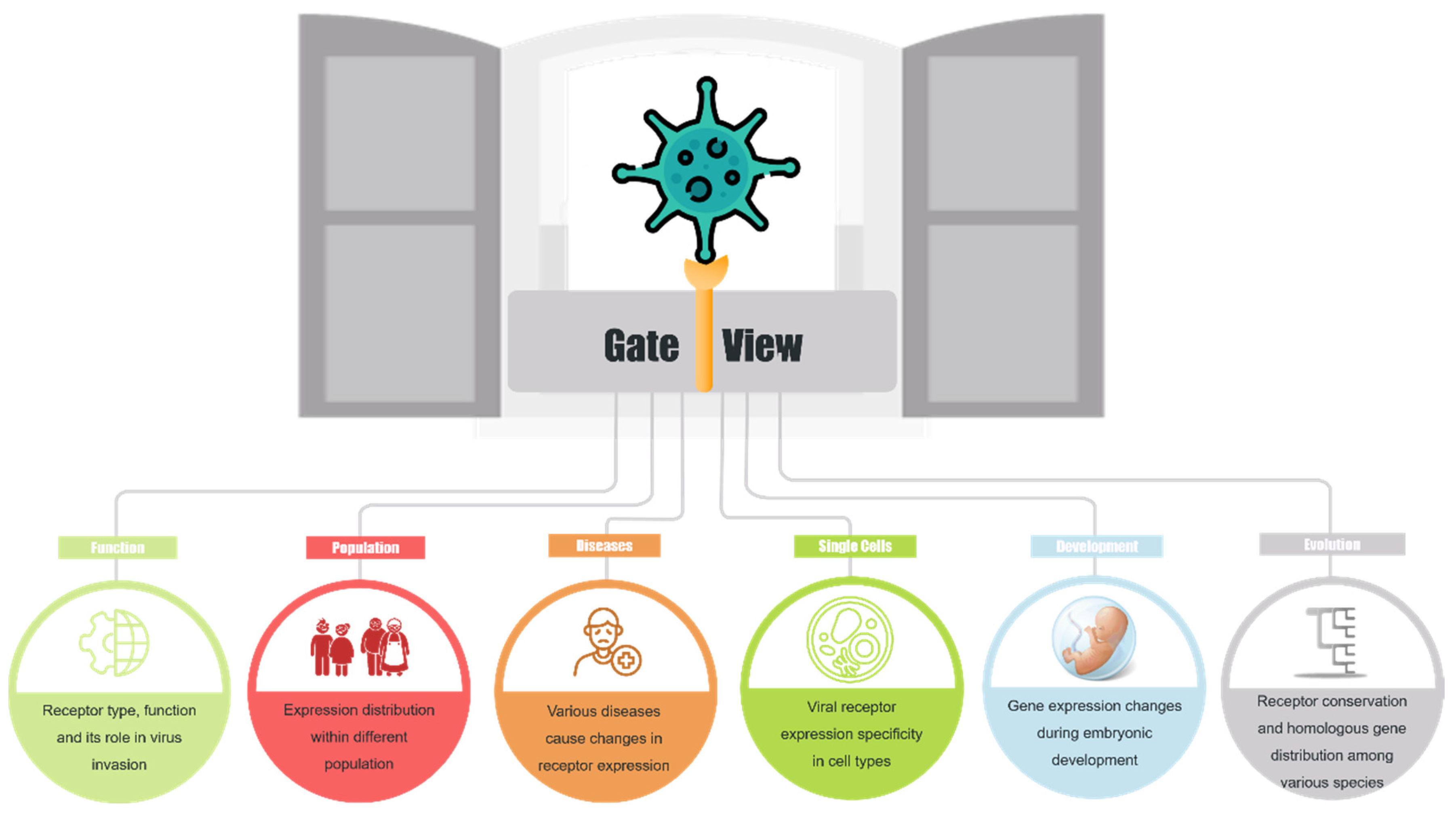 Biomolecules 14 00516 g001