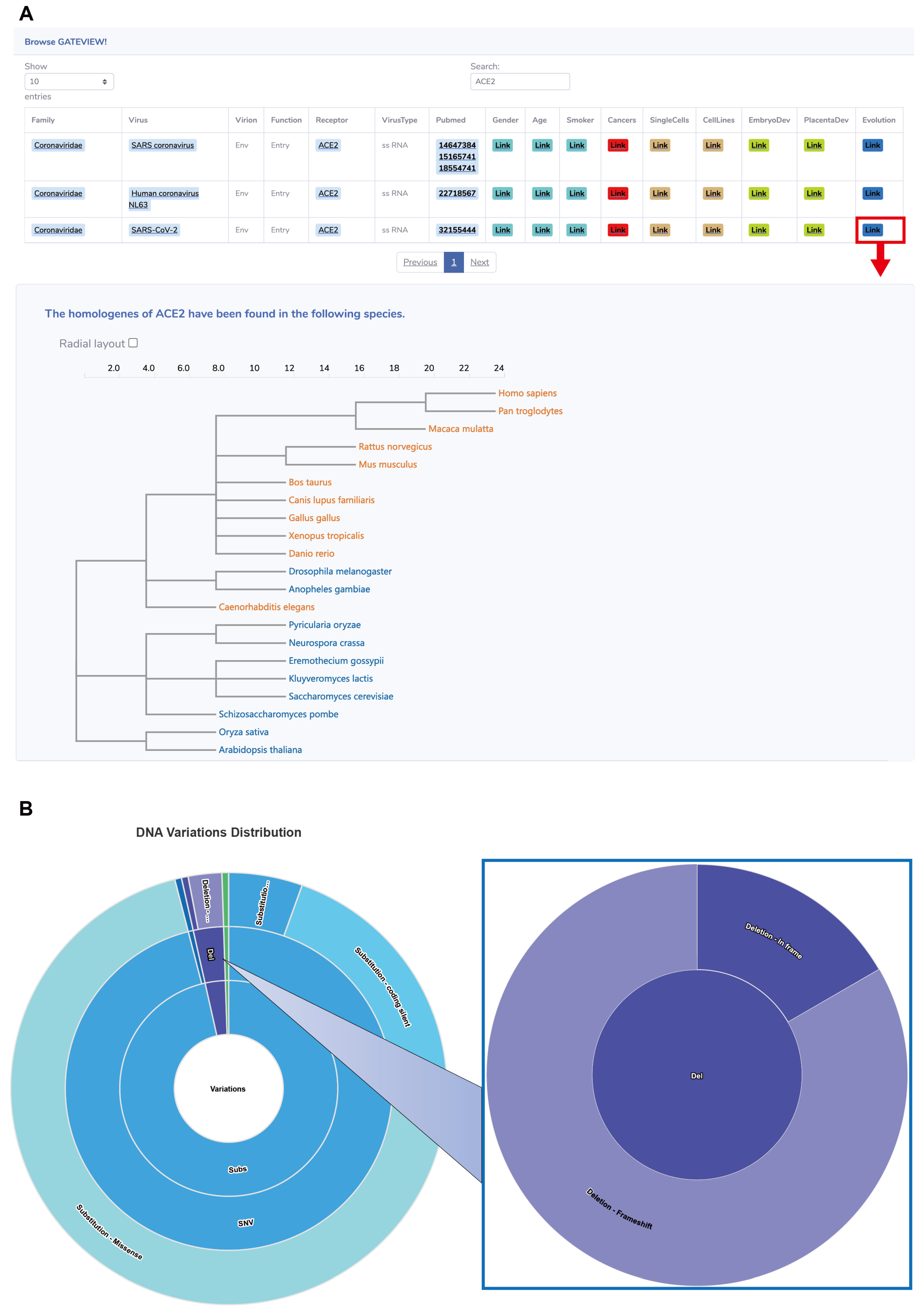 Biomolecules 14 00516 g003