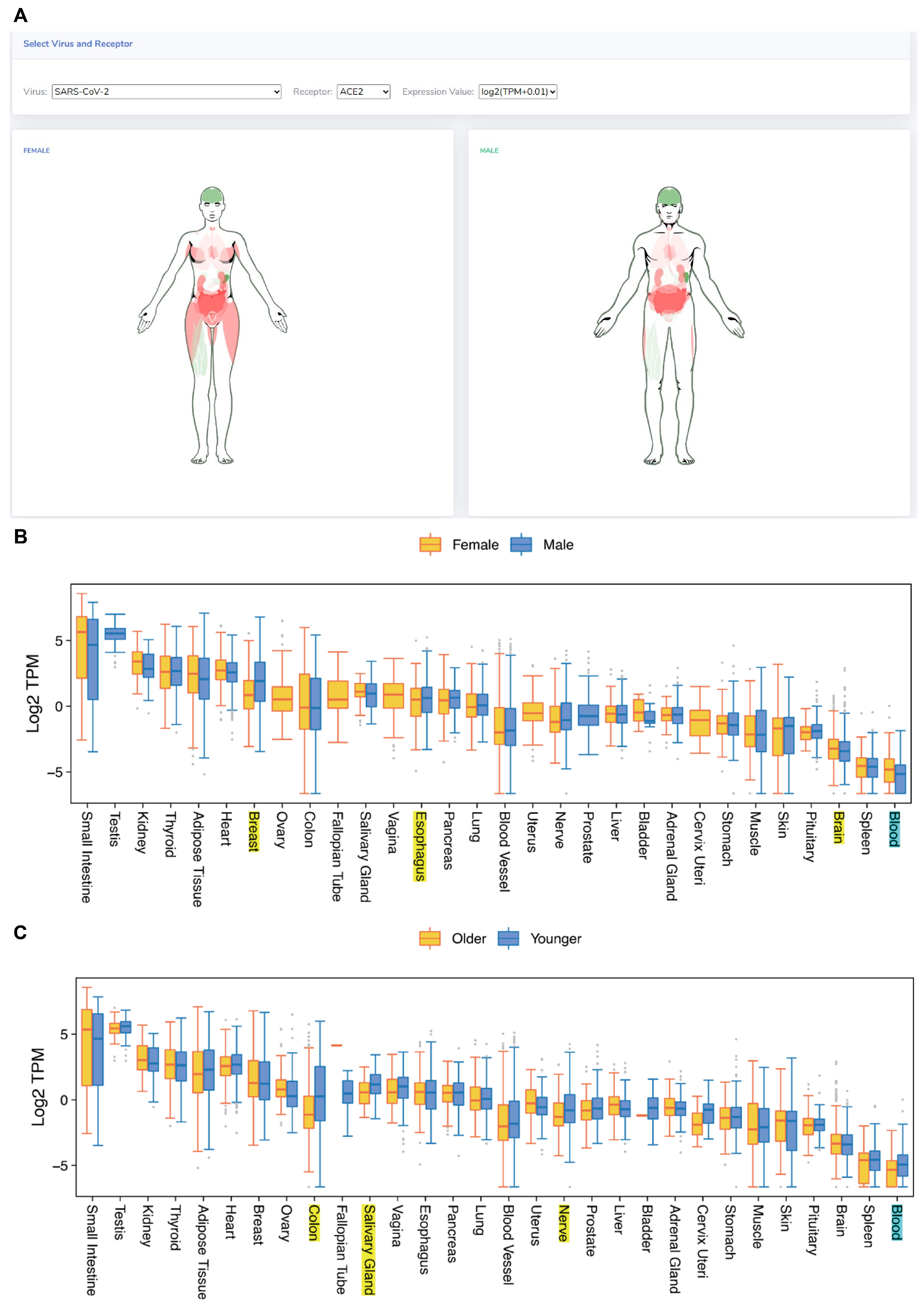 Biomolecules 14 00516 g004