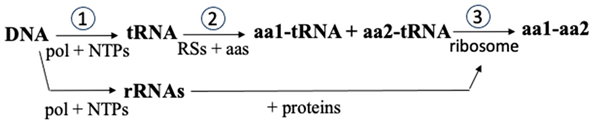 Biomolecules 14 00518 i001