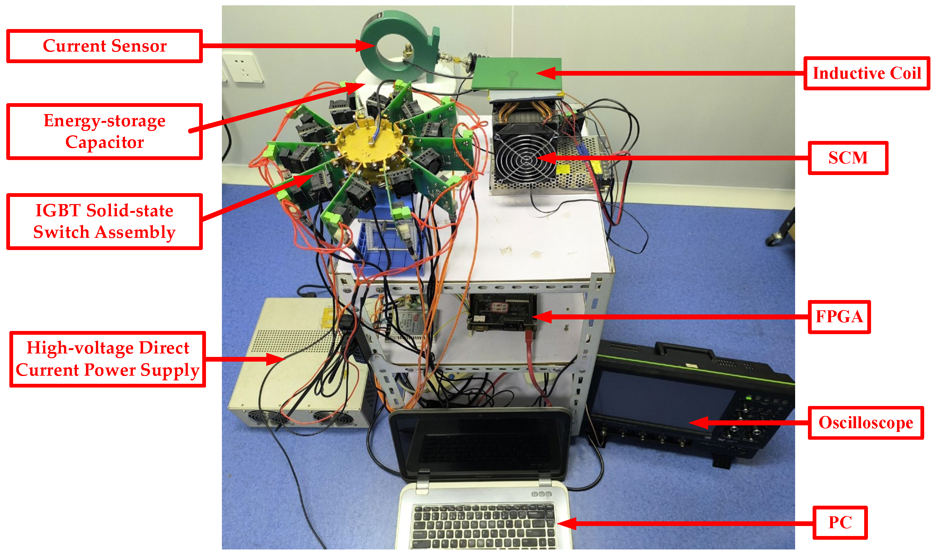 Biomolecules 14 00521 g003