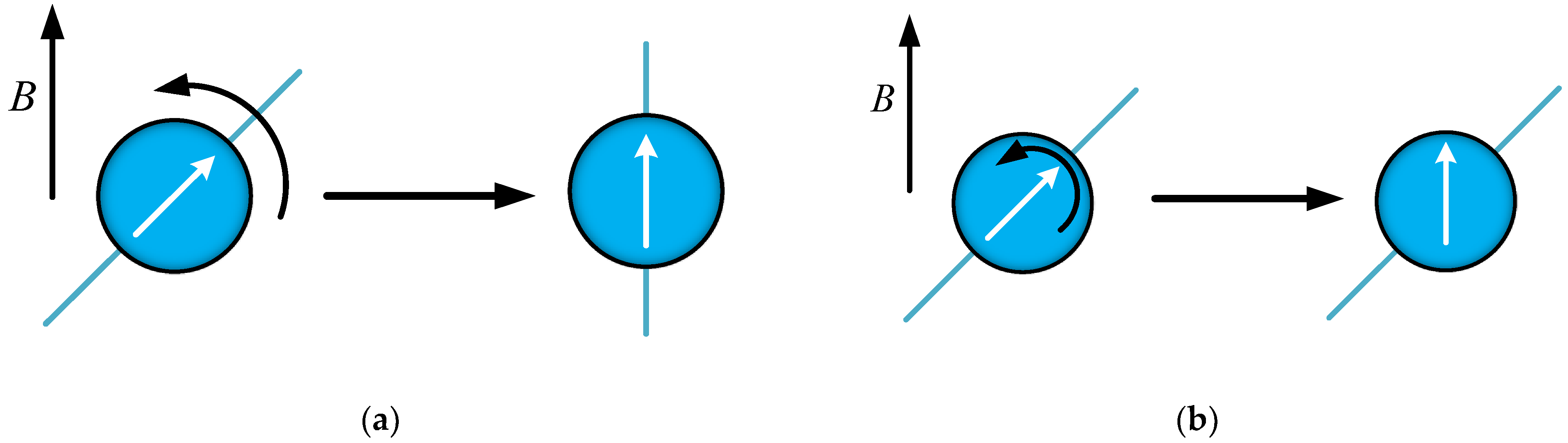 Biomolecules 14 00521 g005