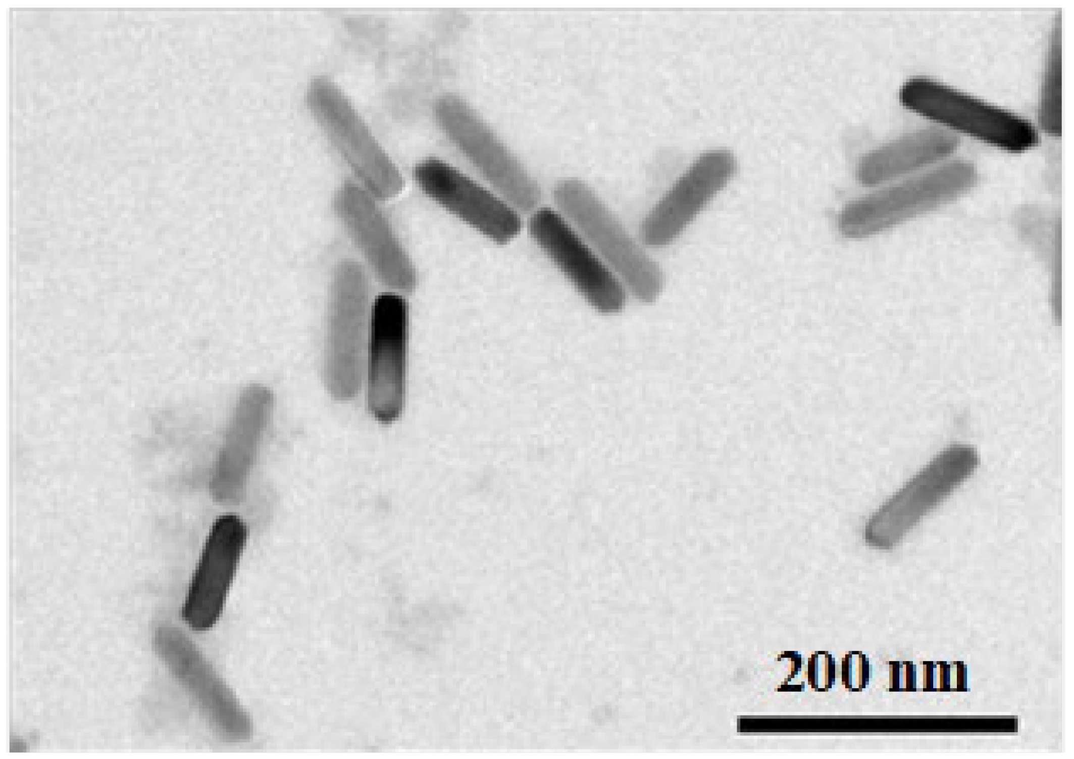Biomolecules 14 00521 g007
