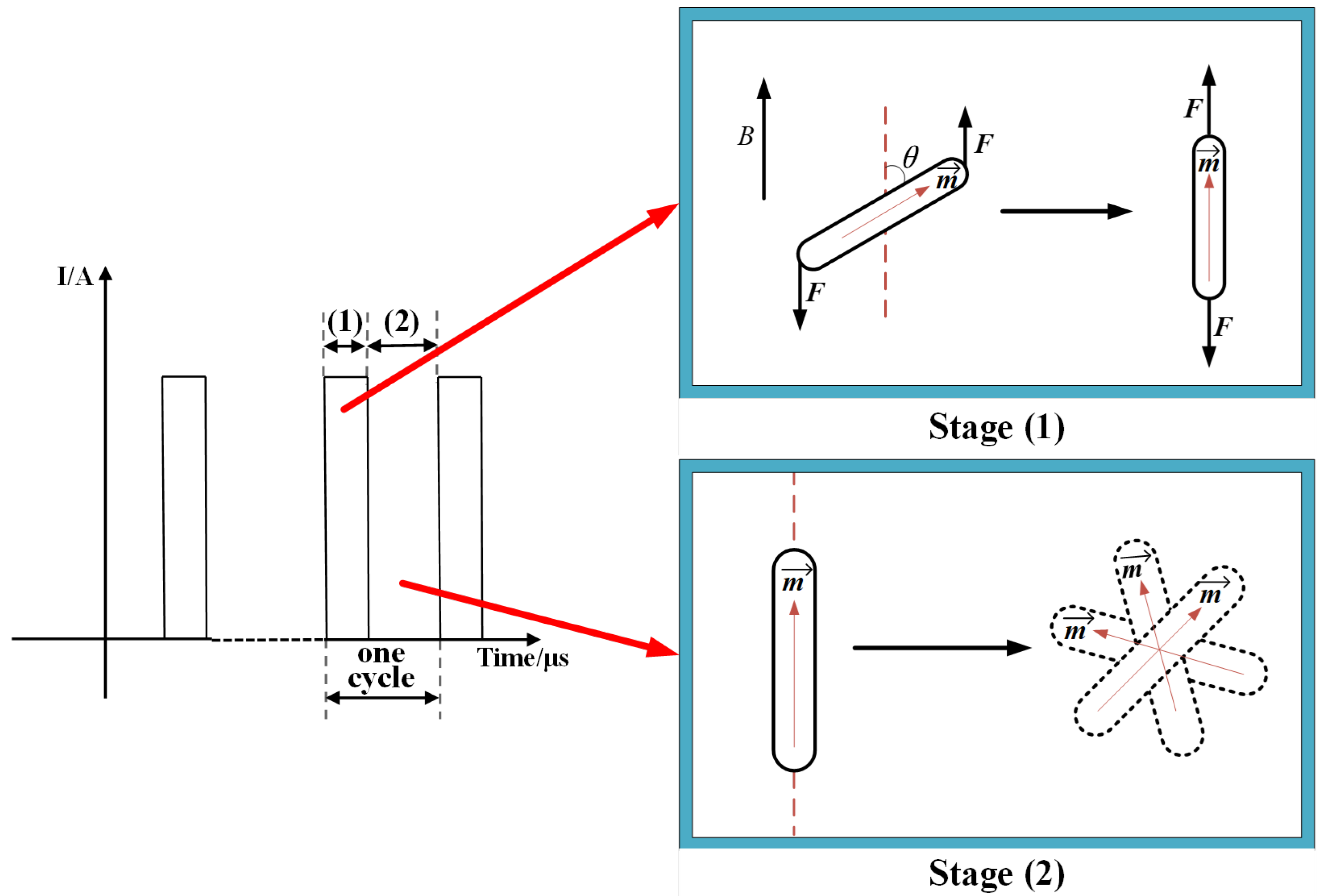 Biomolecules 14 00521 g014