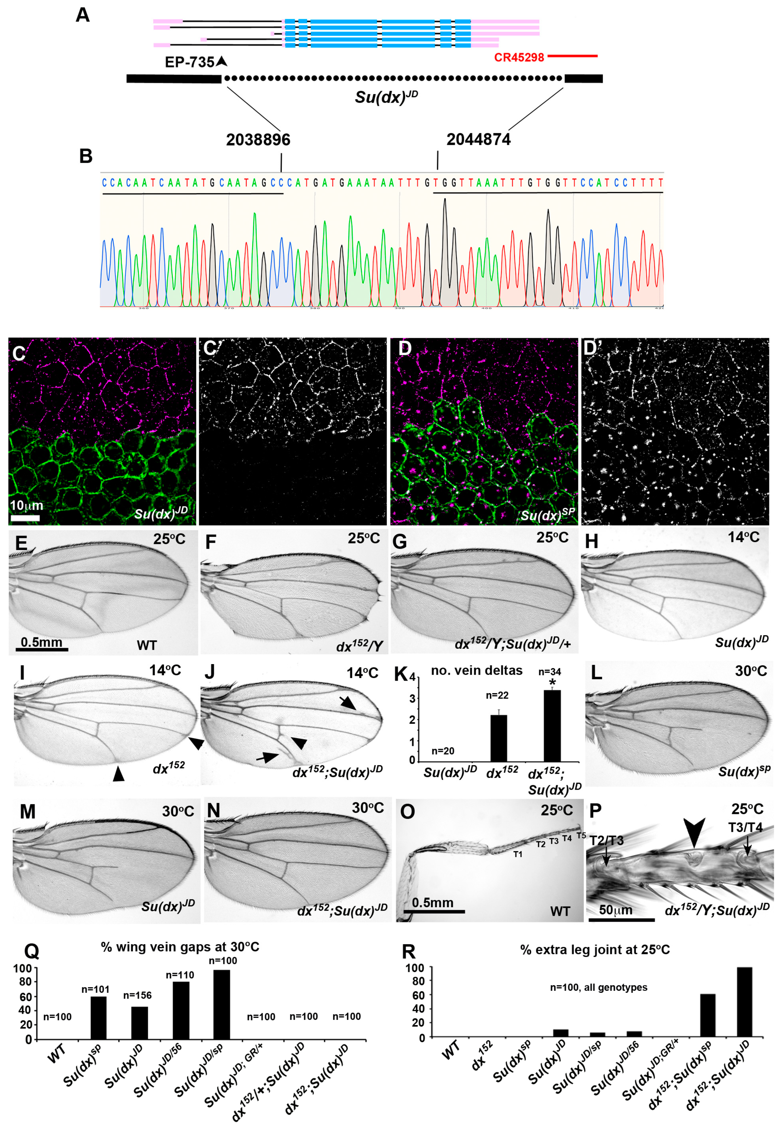 Biomolecules 14 00522 g001 Biomolecules 14 00522 g001