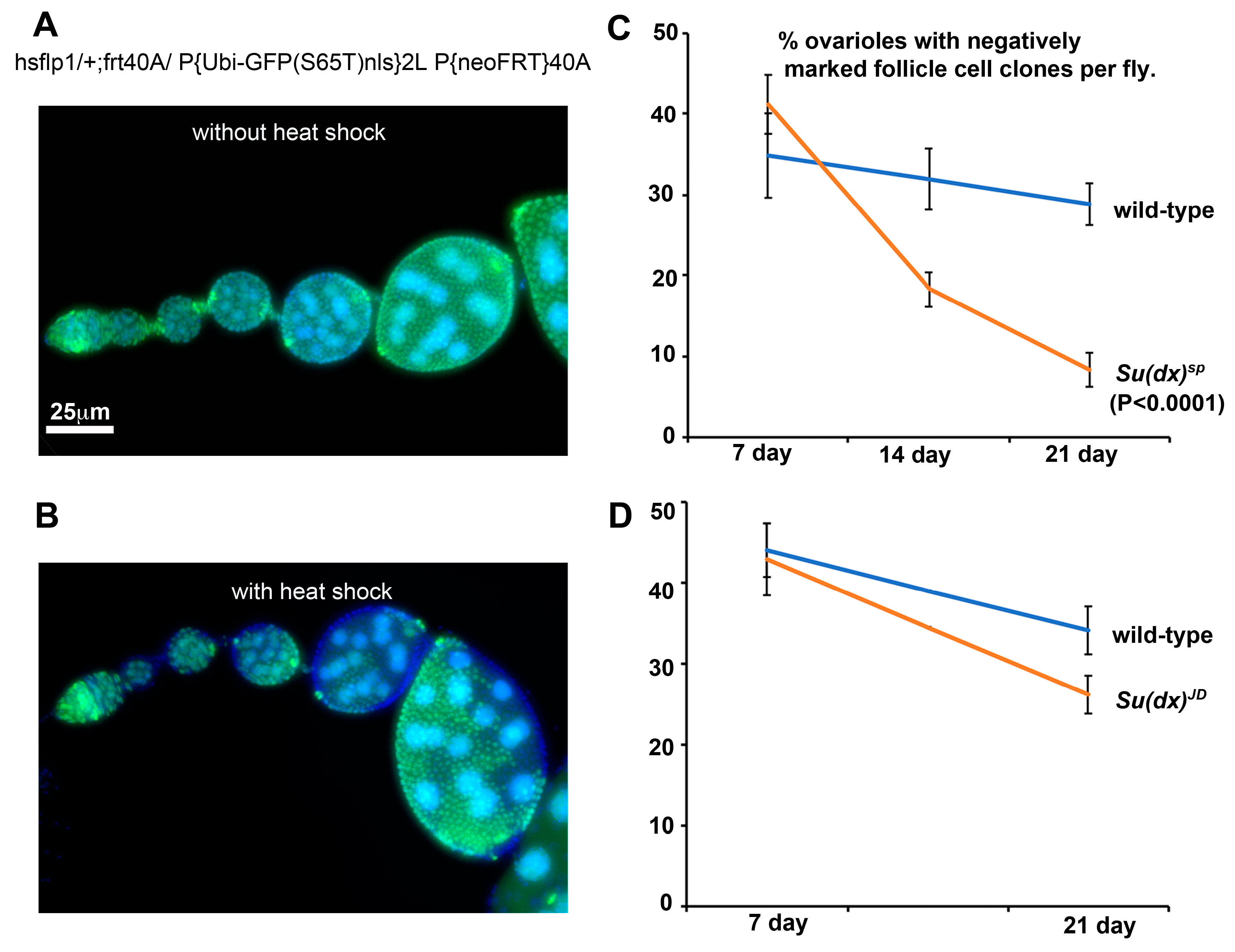 Biomolecules 14 00522 g005 Biomolecules 14 00522 g005
