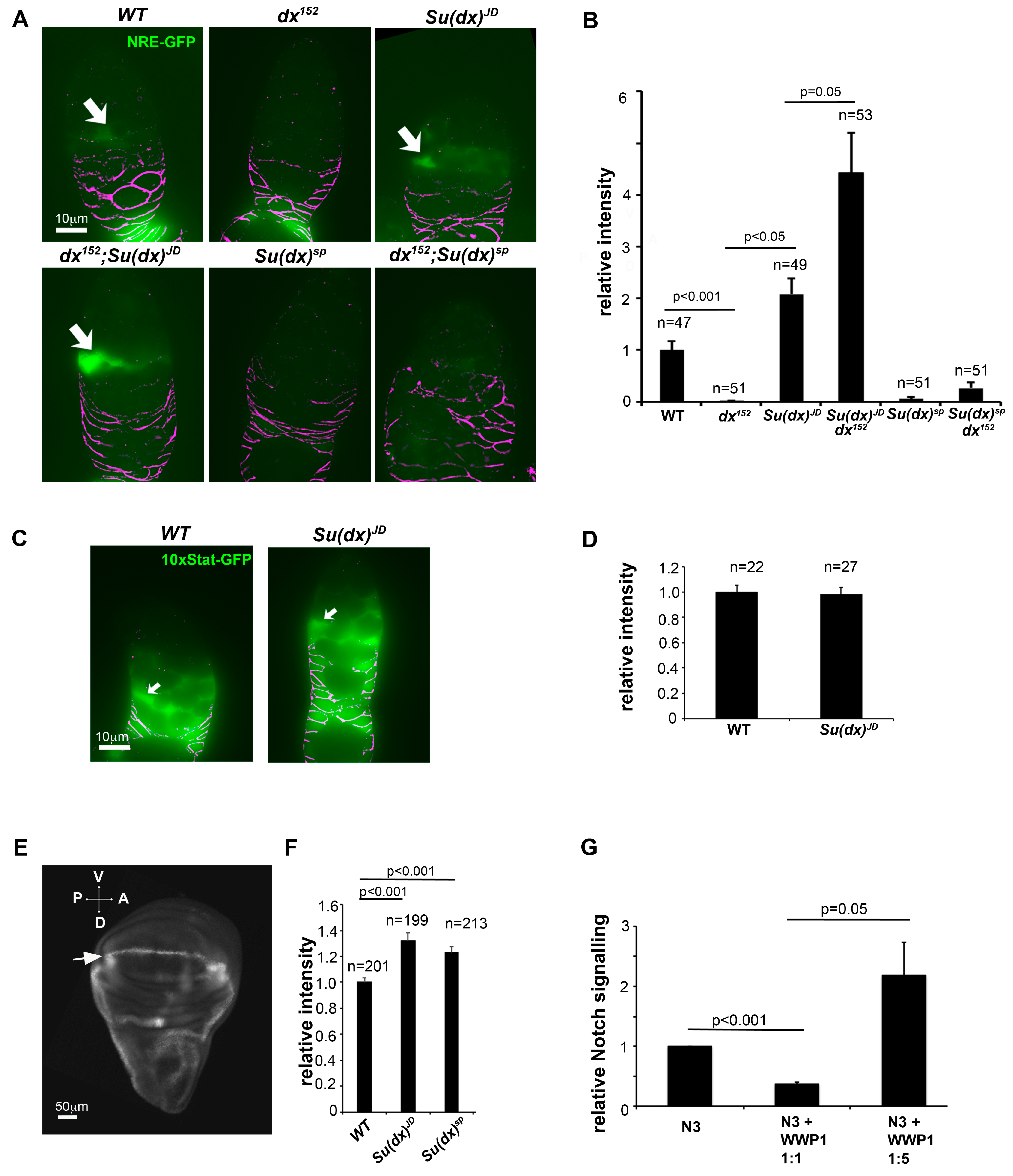 Biomolecules 14 00522 g006 Biomolecules 14 00522 g006