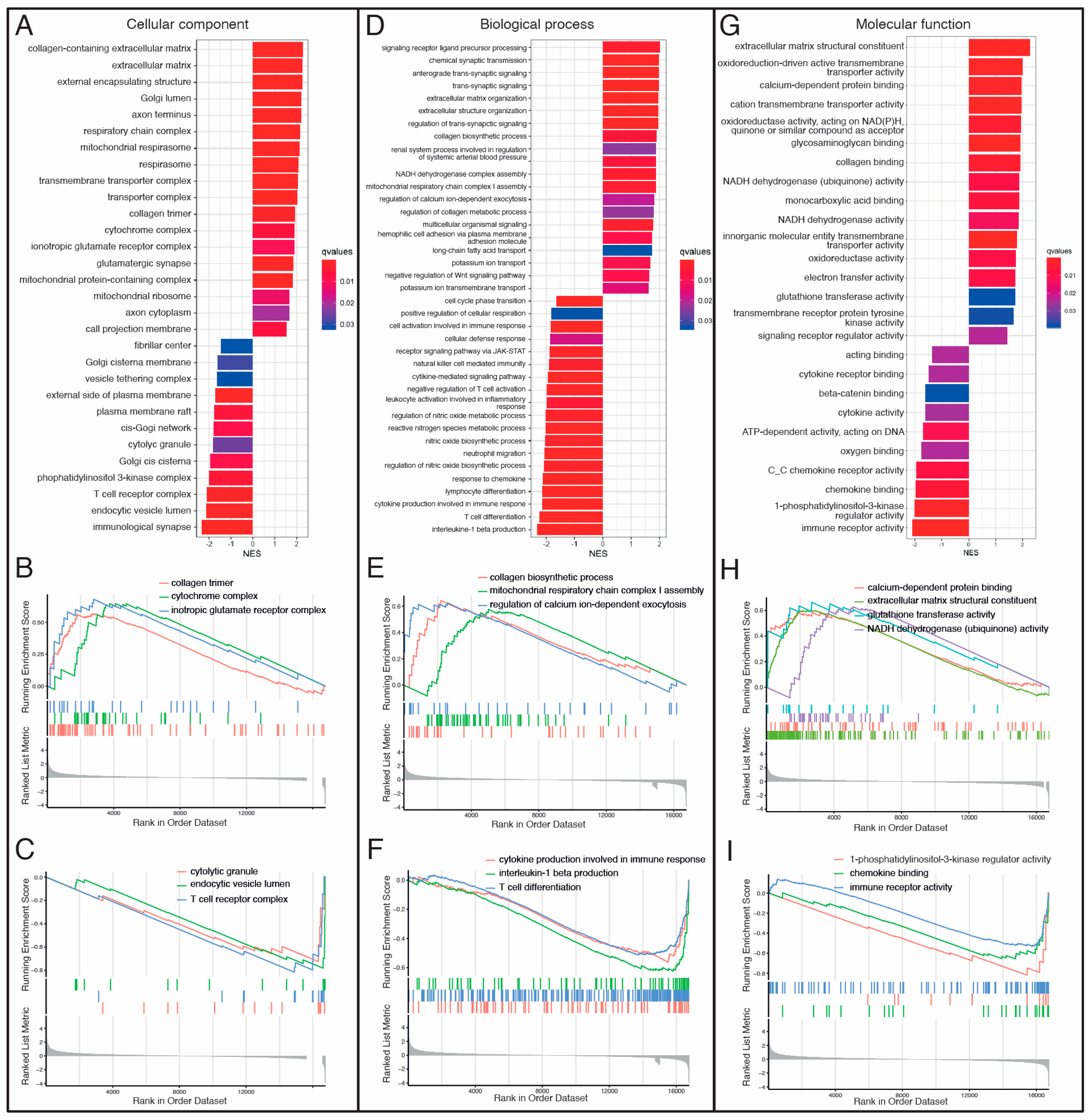 Biomolecules 14 00524 g003 Biomolecules 14 00524 g003