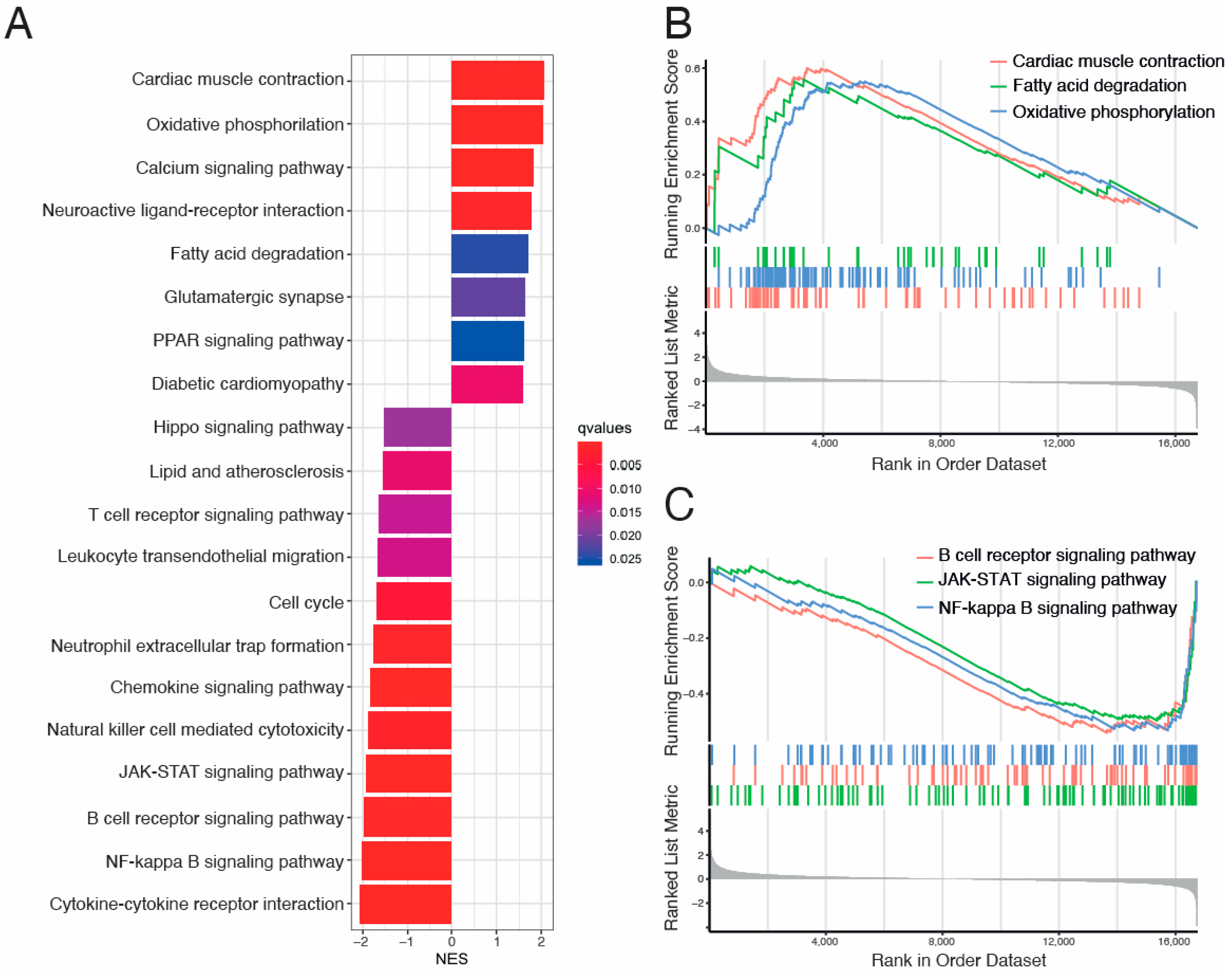 Biomolecules 14 00524 g004 Biomolecules 14 00524 g004