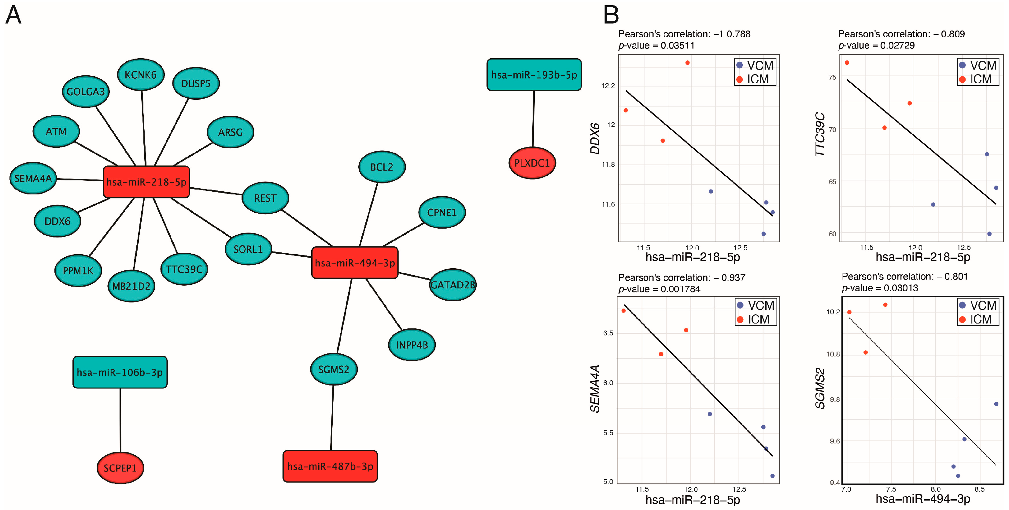 Biomolecules 14 00524 g005 Biomolecules 14 00524 g005