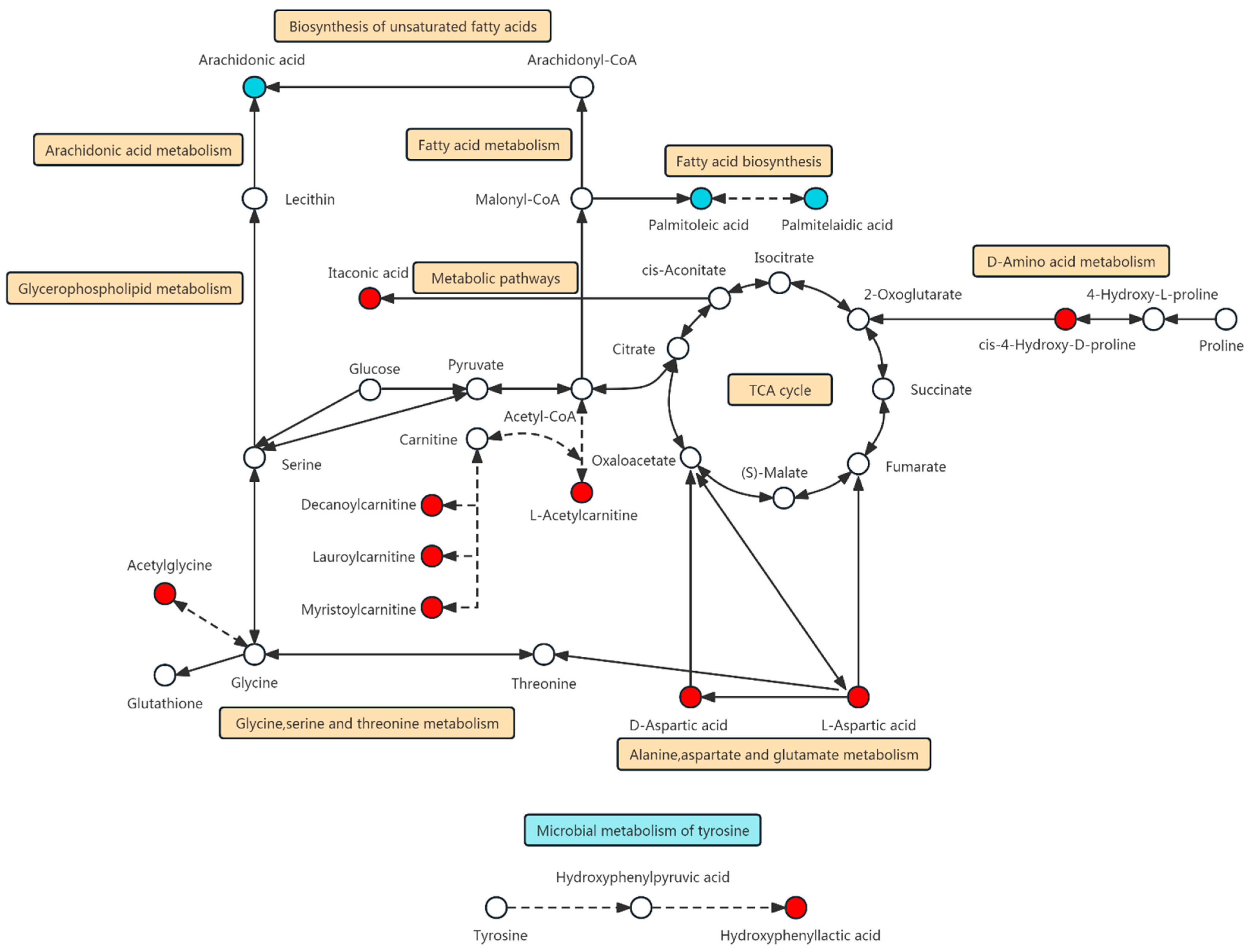Biomolecules 14 00532 g005