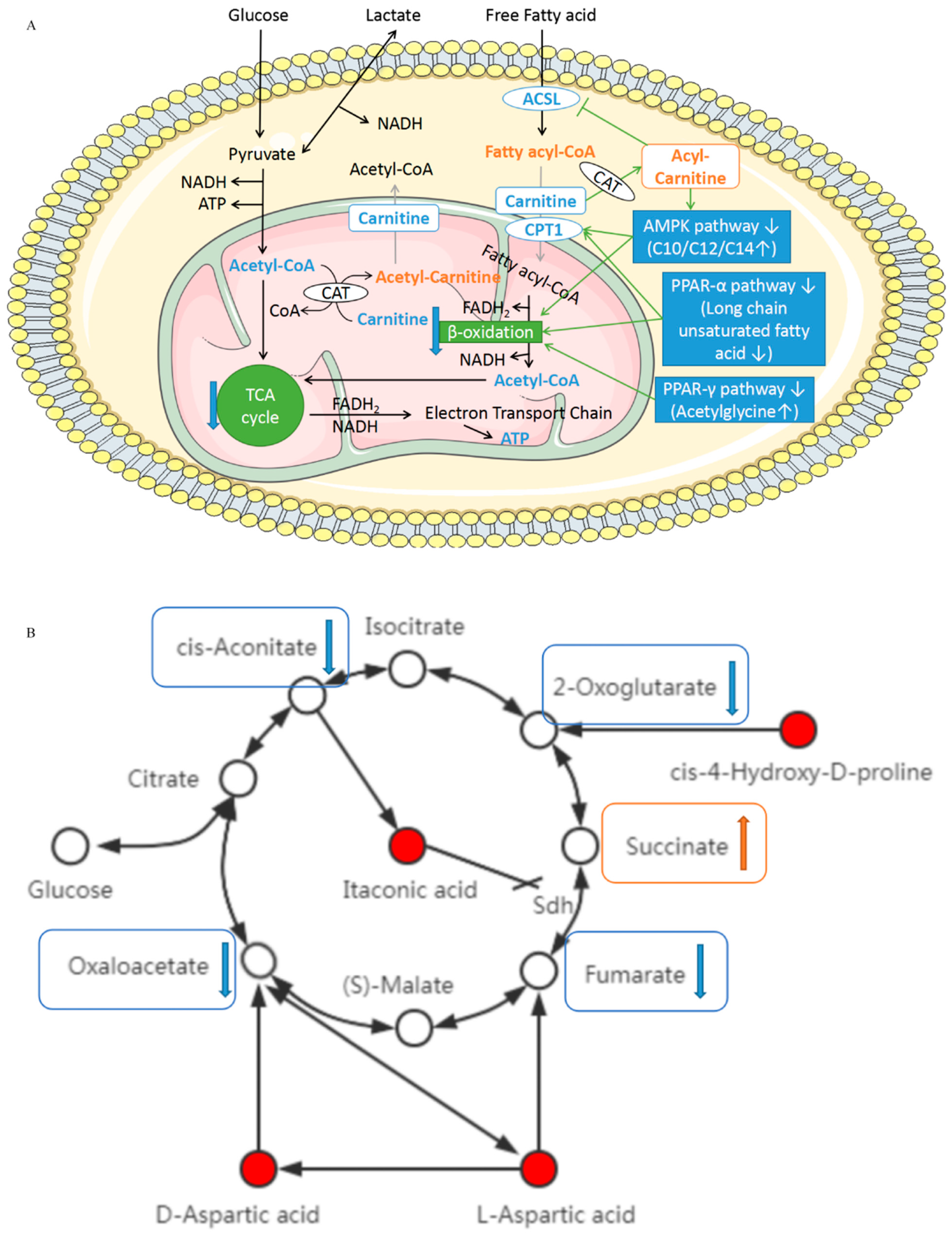 Biomolecules 14 00532 g006a
