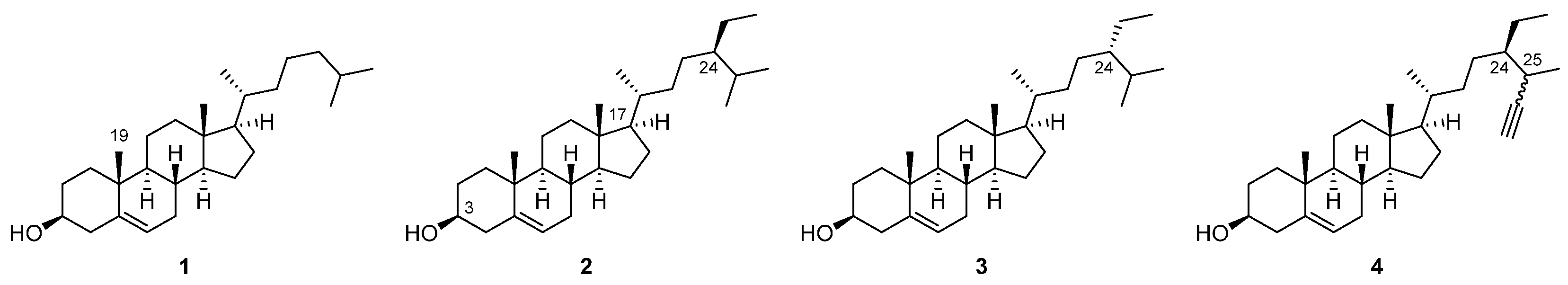 Biomolecules 14 00542 g001