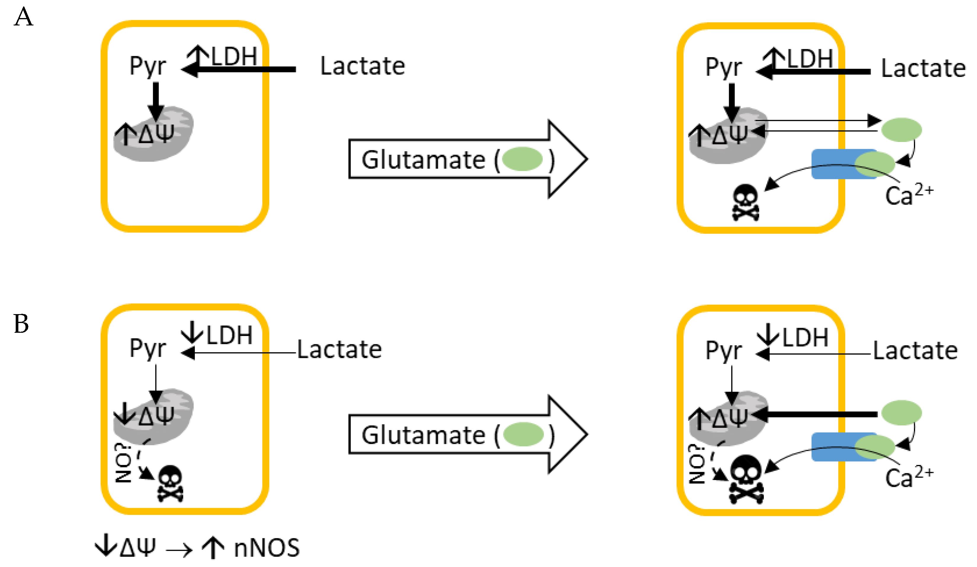 Biomolecules 14 00543 g001 Biomolecules 14 00543 g001