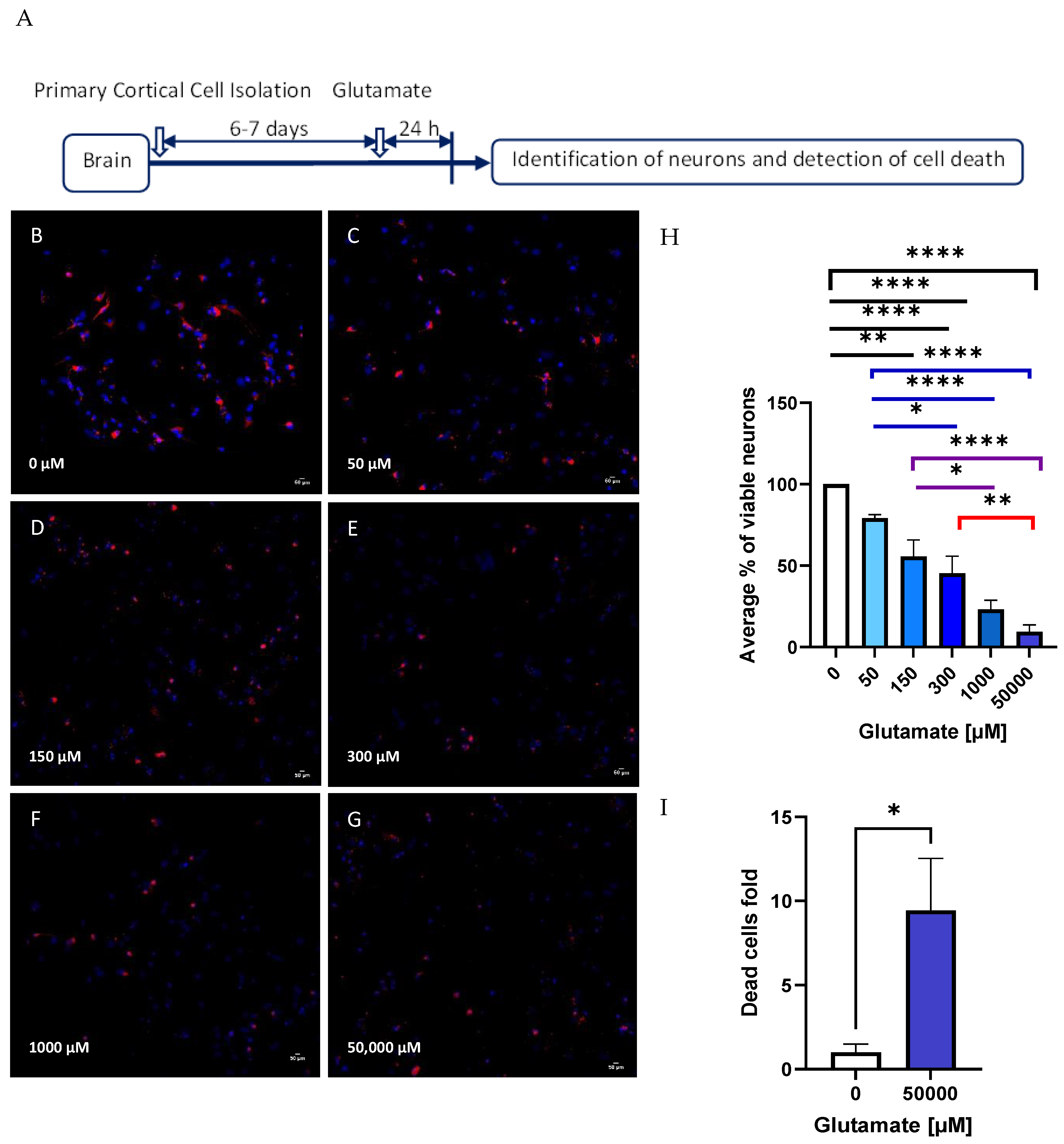 Biomolecules 14 00543 g003 Biomolecules 14 00543 g003