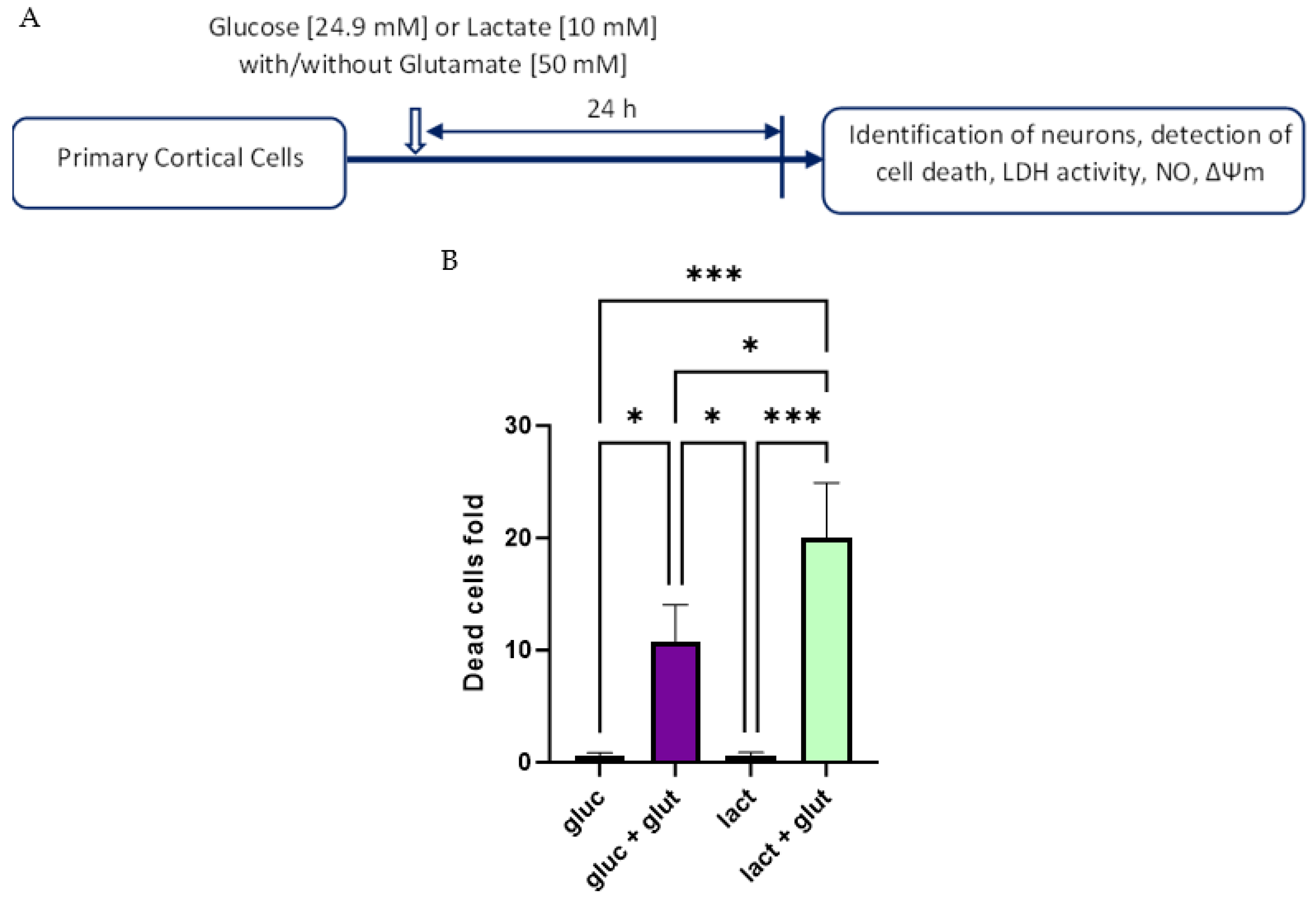 Biomolecules 14 00543 g004 Biomolecules 14 00543 g004