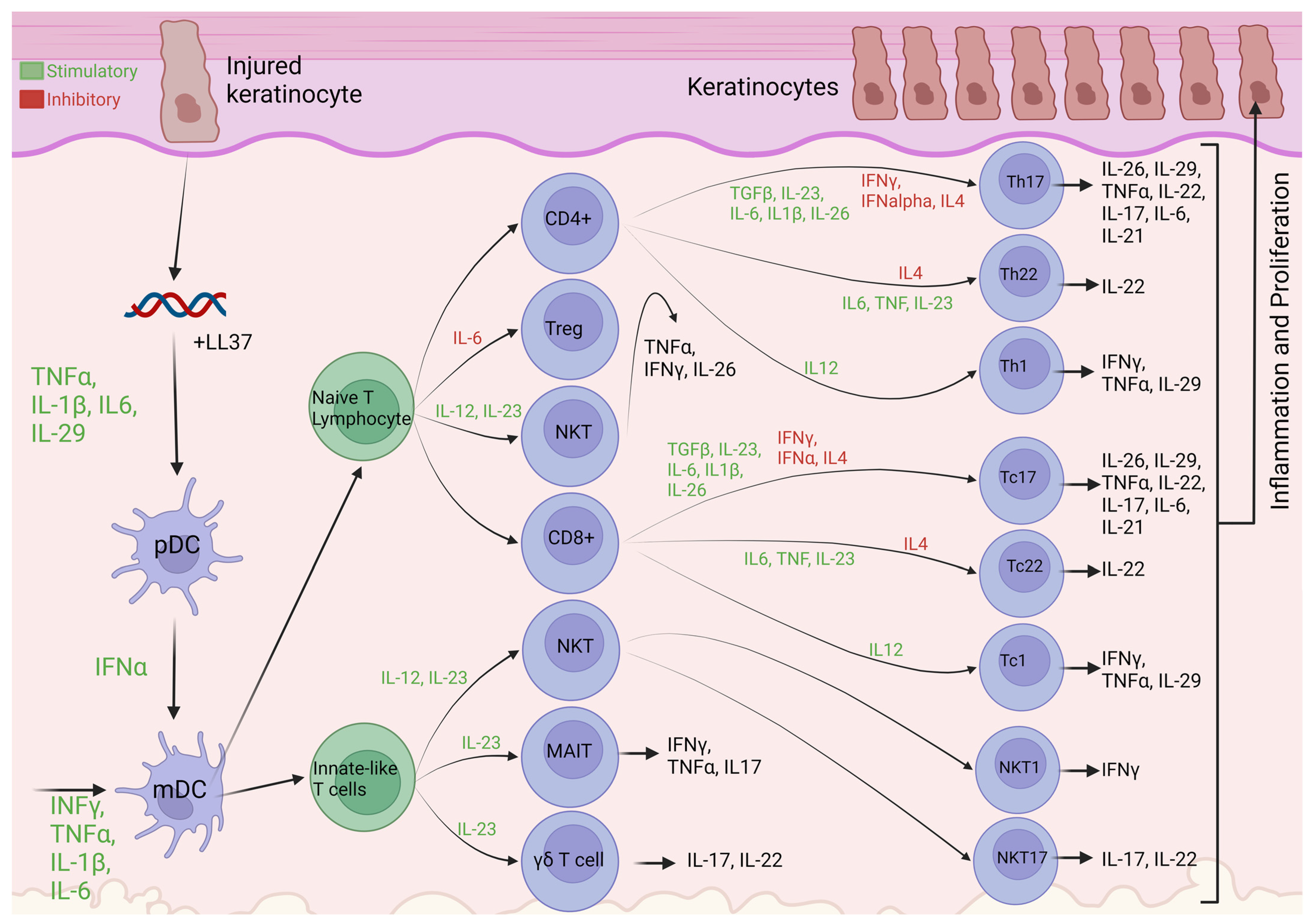 Biomolecules 14 00548 g001 Biomolecules 14 00548 g001