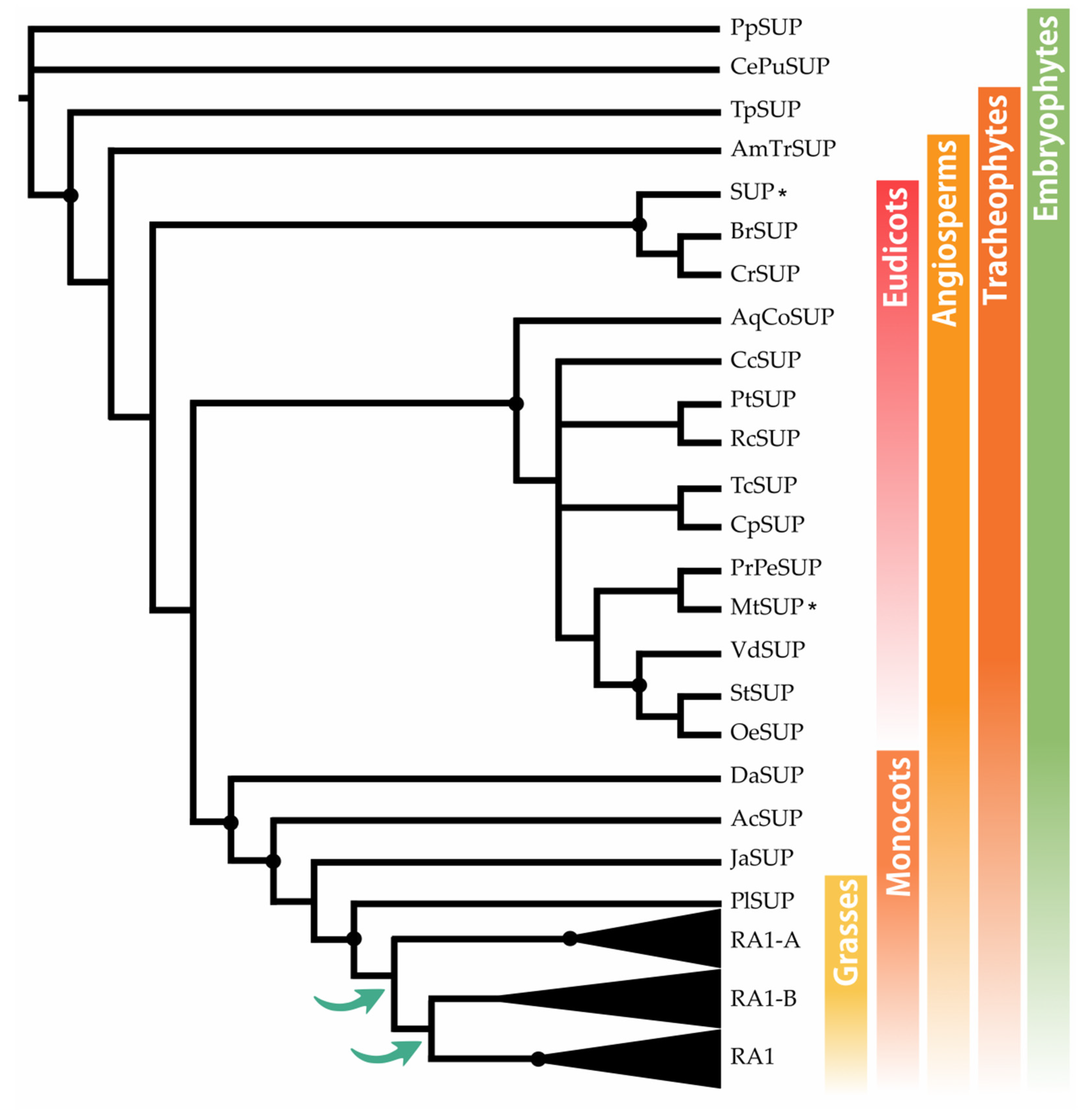 Biomolecules 14 00550 g001 Biomolecules 14 00550 g001