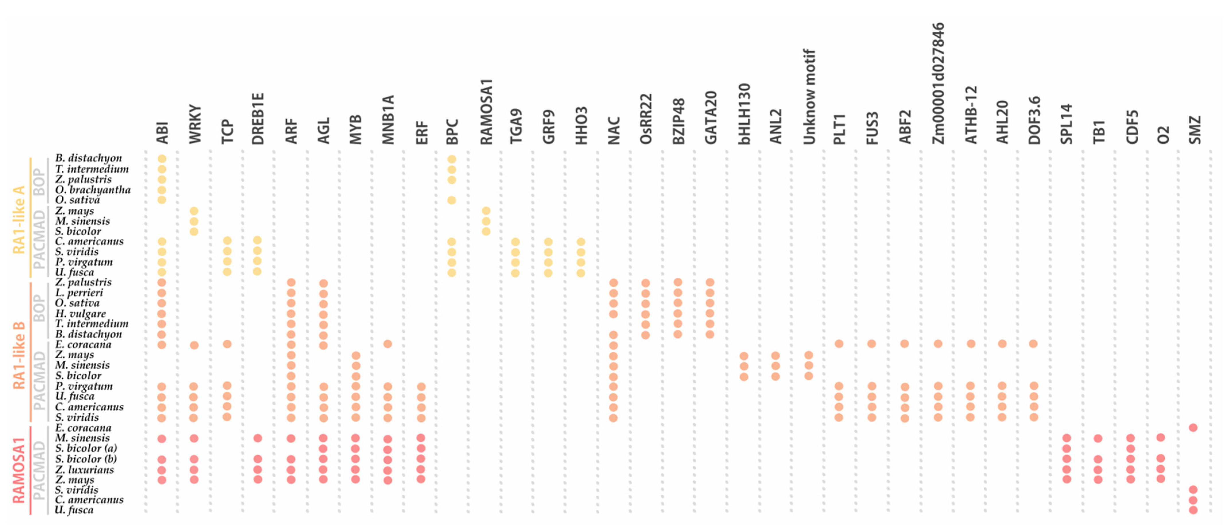 Biomolecules 14 00550 g006 Biomolecules 14 00550 g006