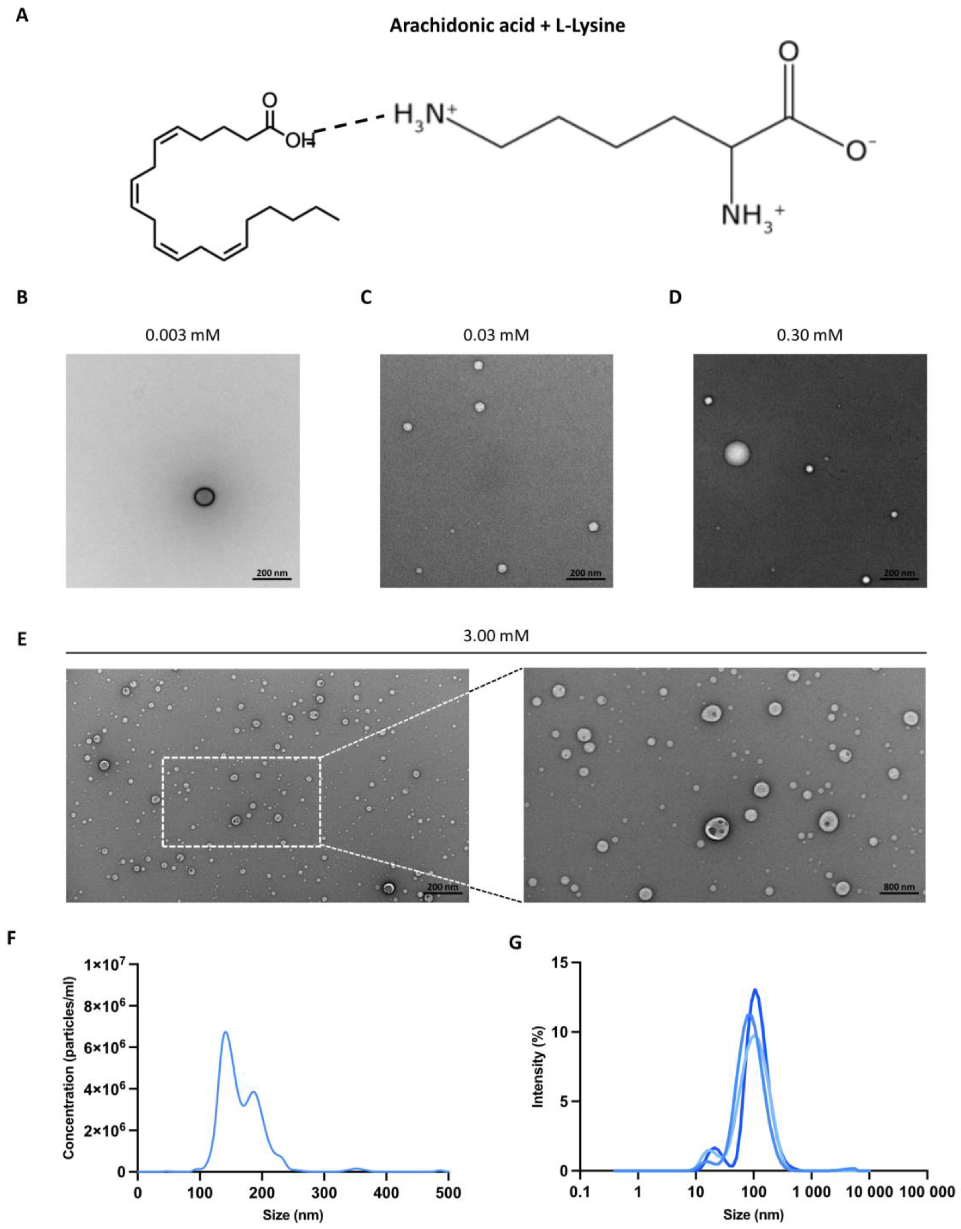 Biomolecules 14 00555 g001
