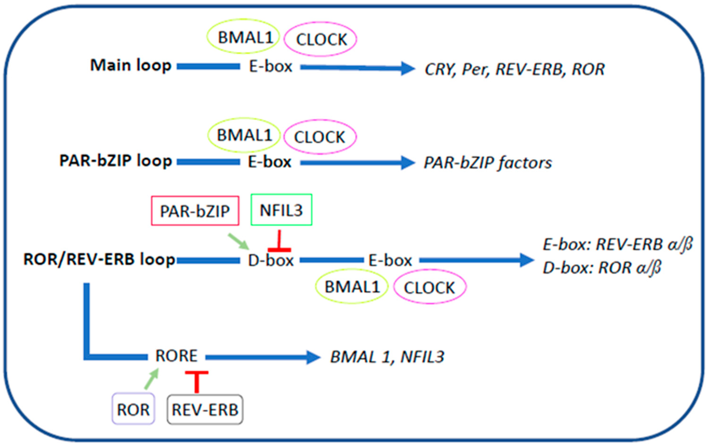 Biomolecules 14 00559 g001