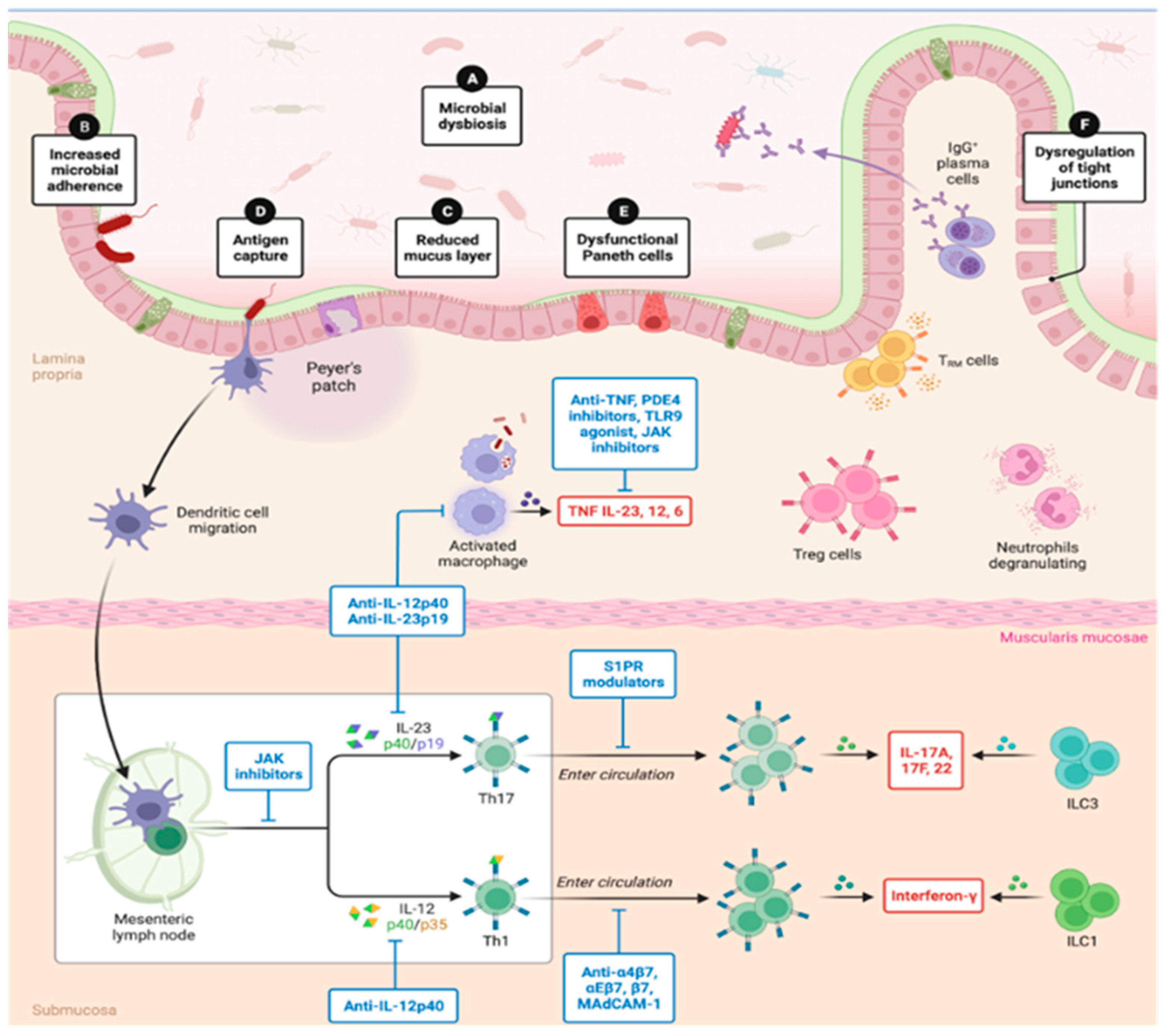 Biomolecules 14 00559 g003