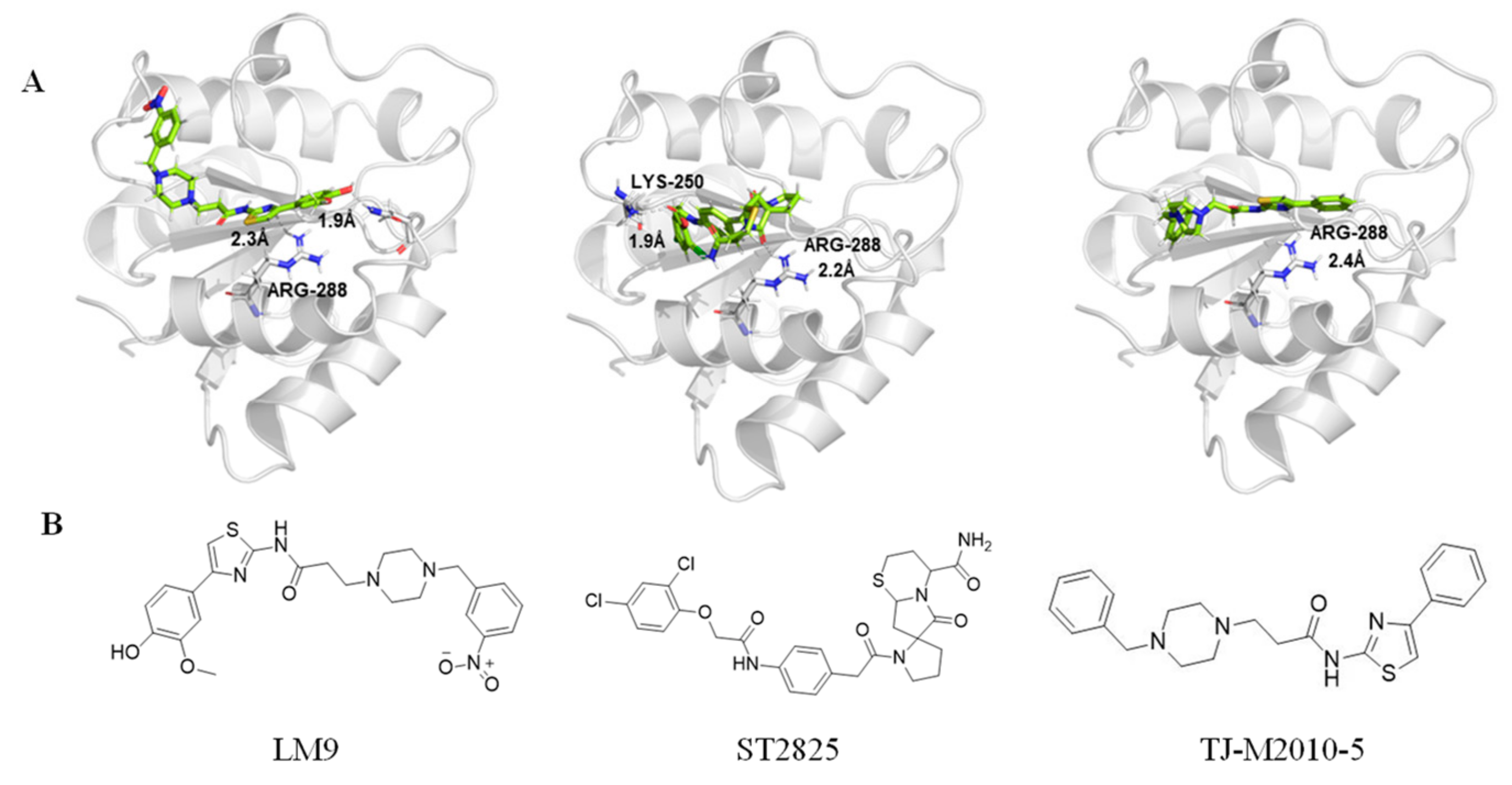 Biomolecules 14 00562 g002